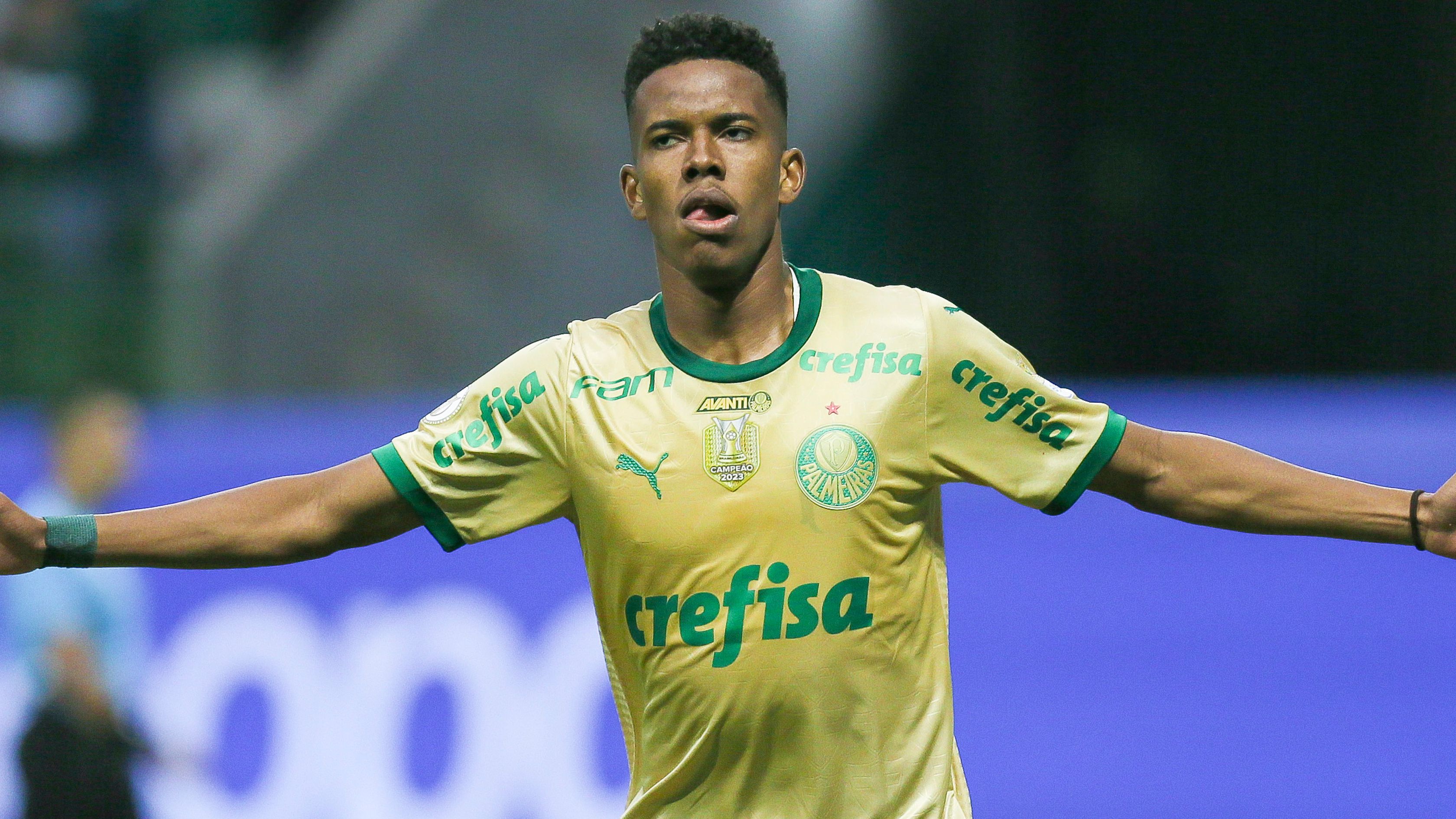 Palmeiras v Criciuma - Brasileirao 2024