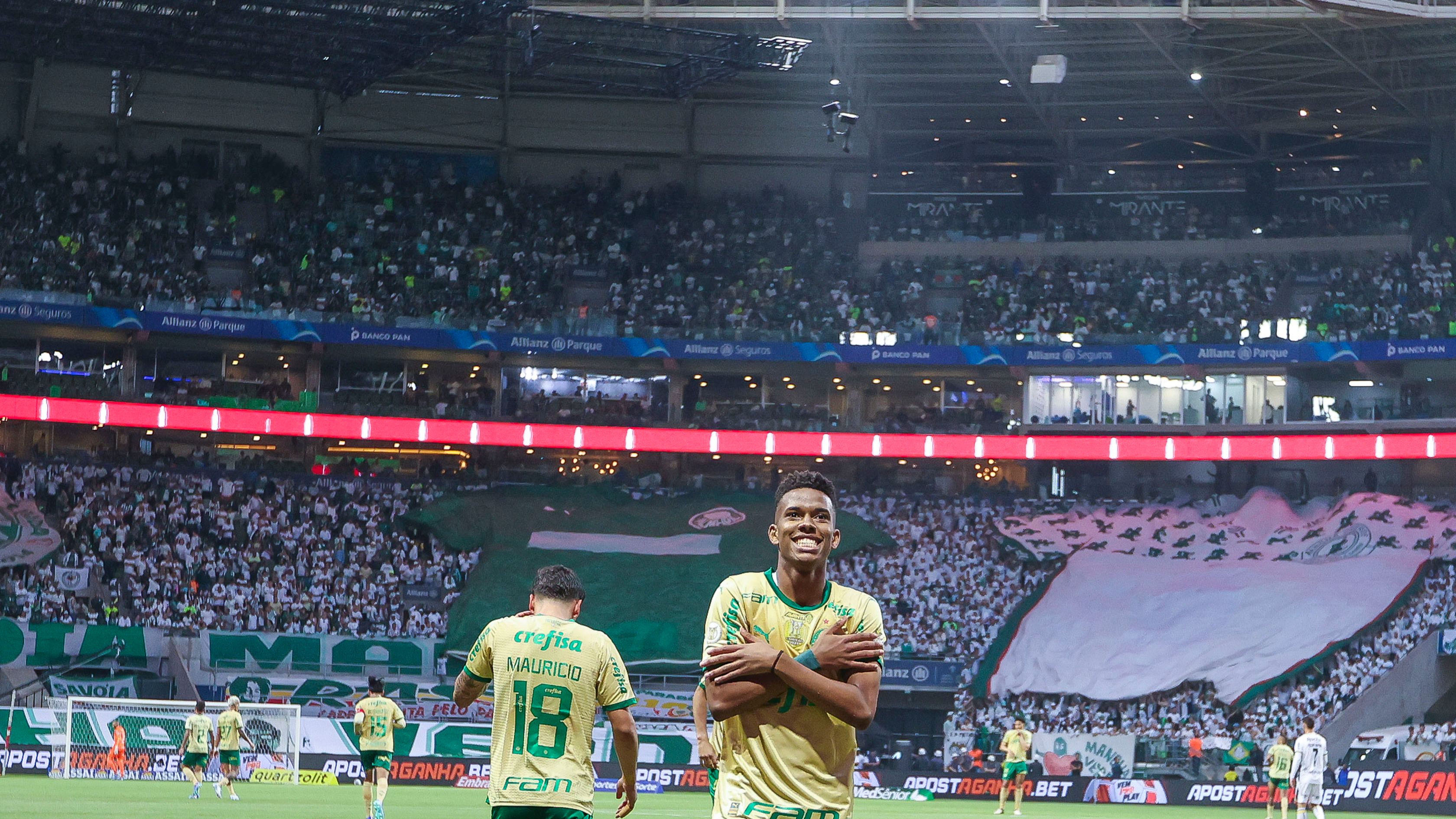 Palmeiras v Criciuma - Brasileirao 2024