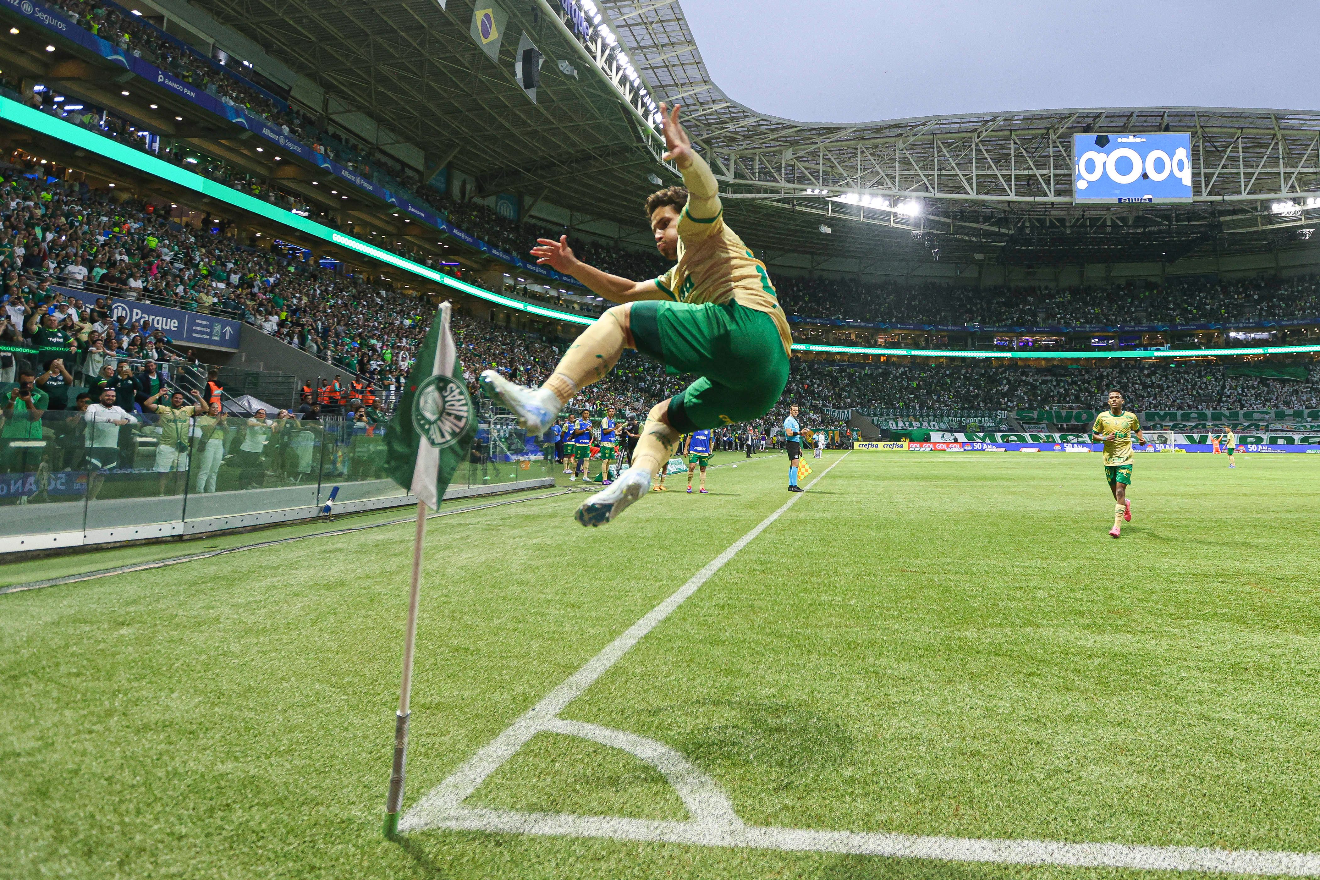 Palmeiras v Criciuma - Brasileirao 2024