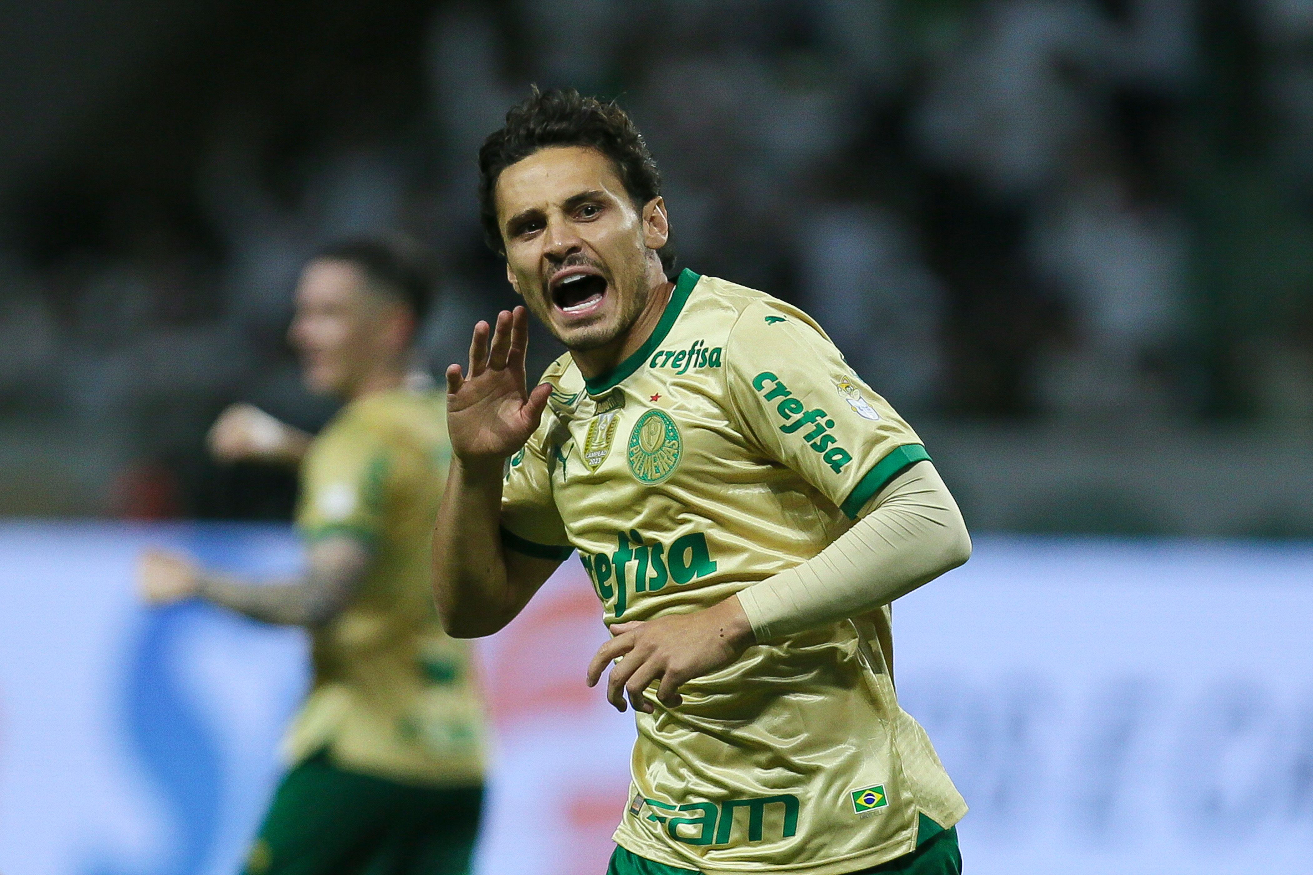 Palmeiras v Criciuma - Brasileirao 2024