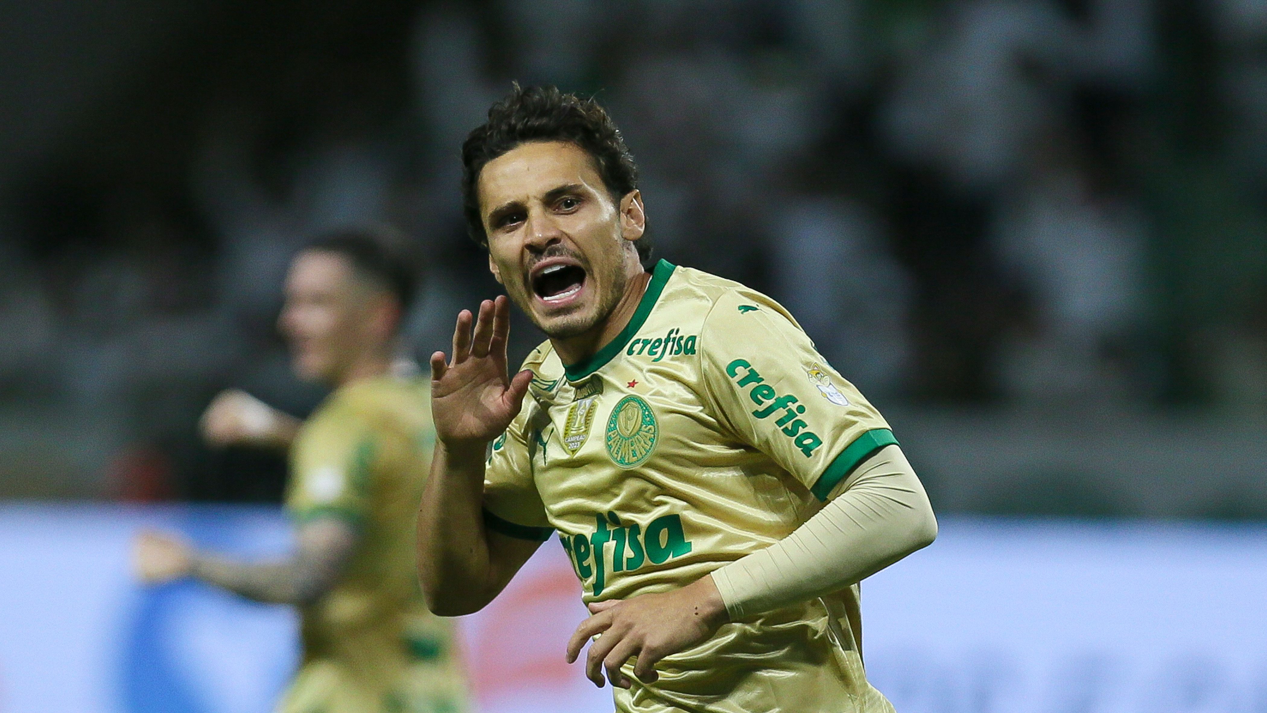 Palmeiras v Criciuma - Brasileirao 2024