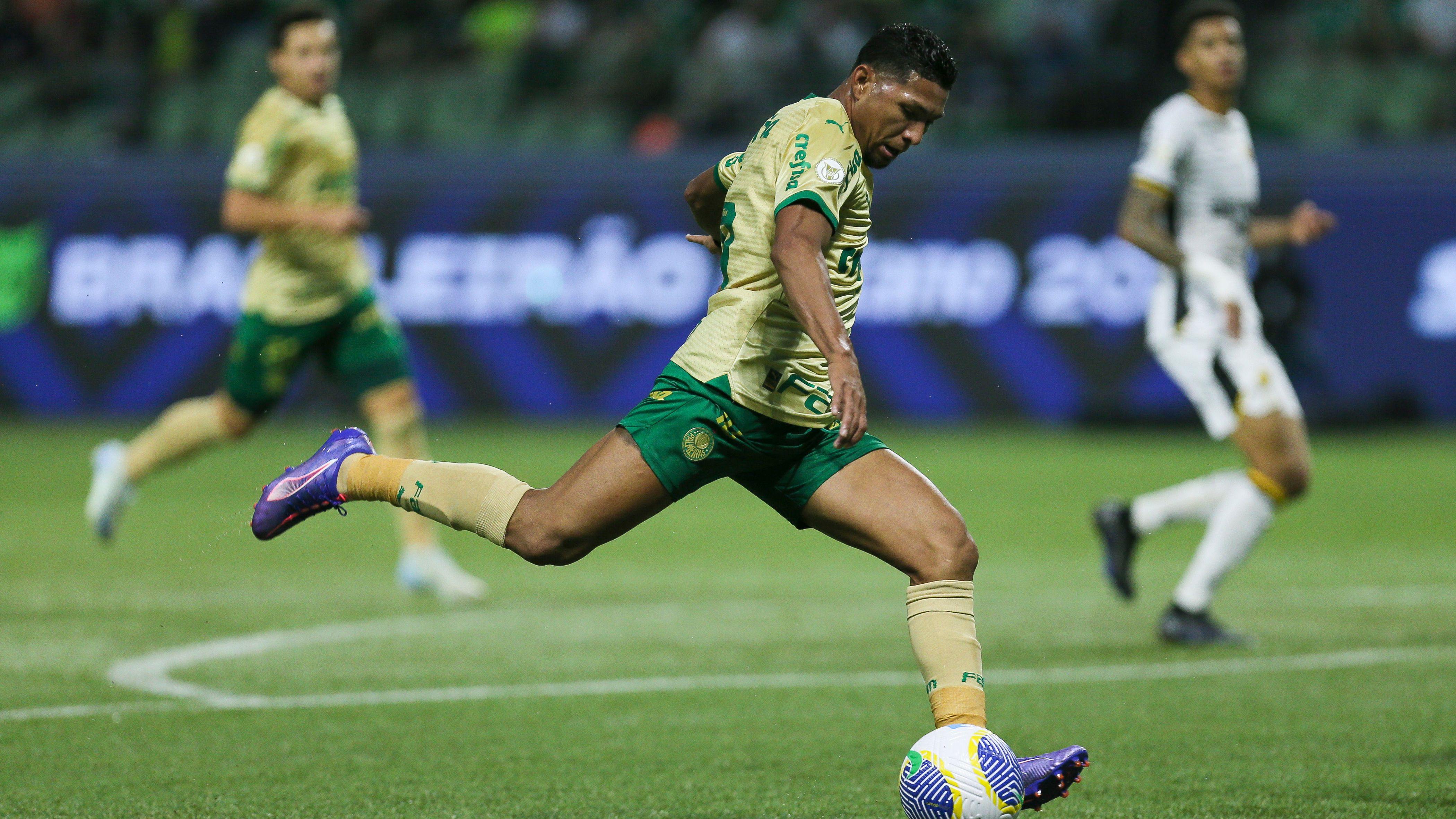 Palmeiras v Criciuma - Brasileirao 2024