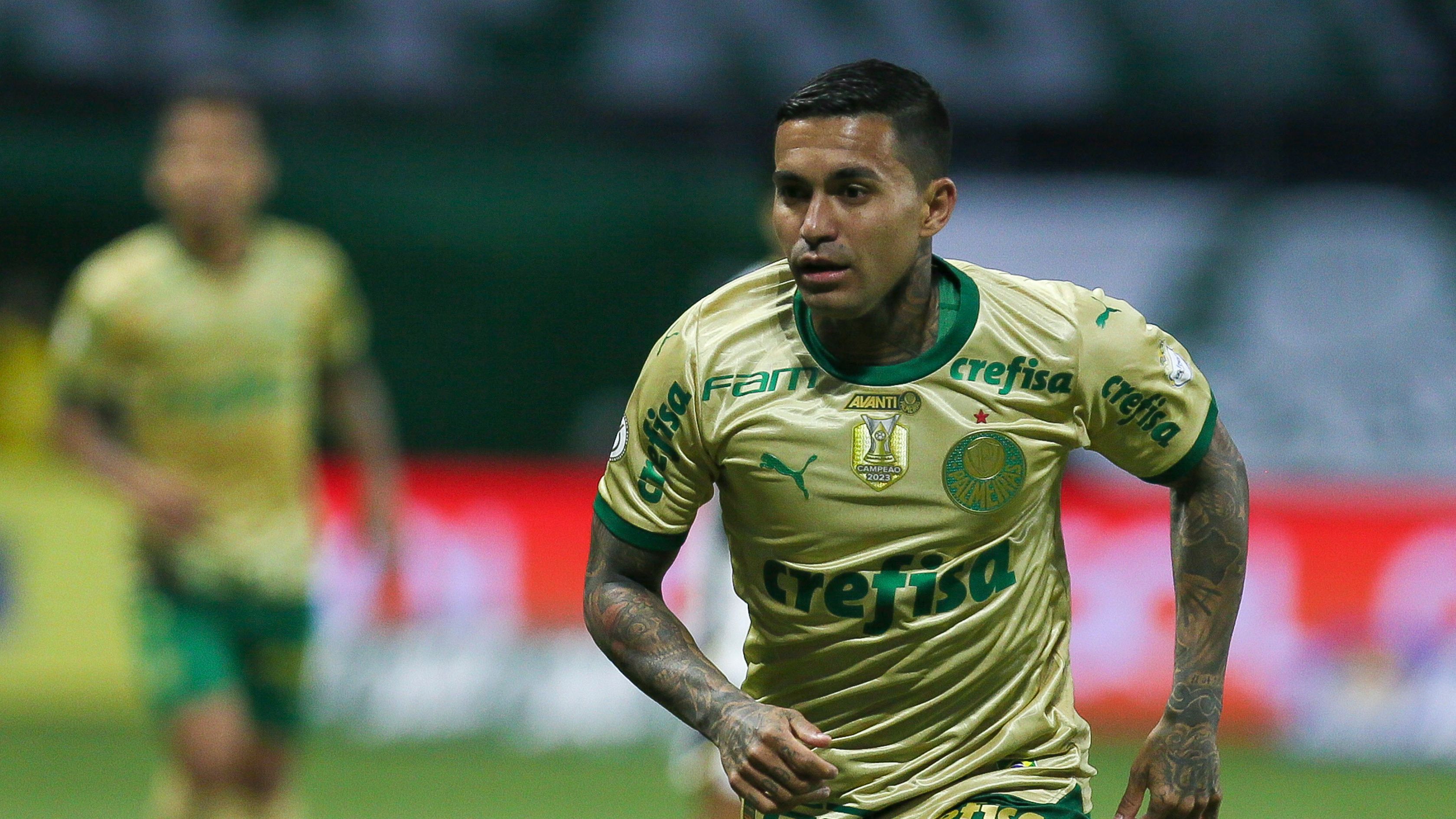 Palmeiras v Criciuma - Brasileirao 2024