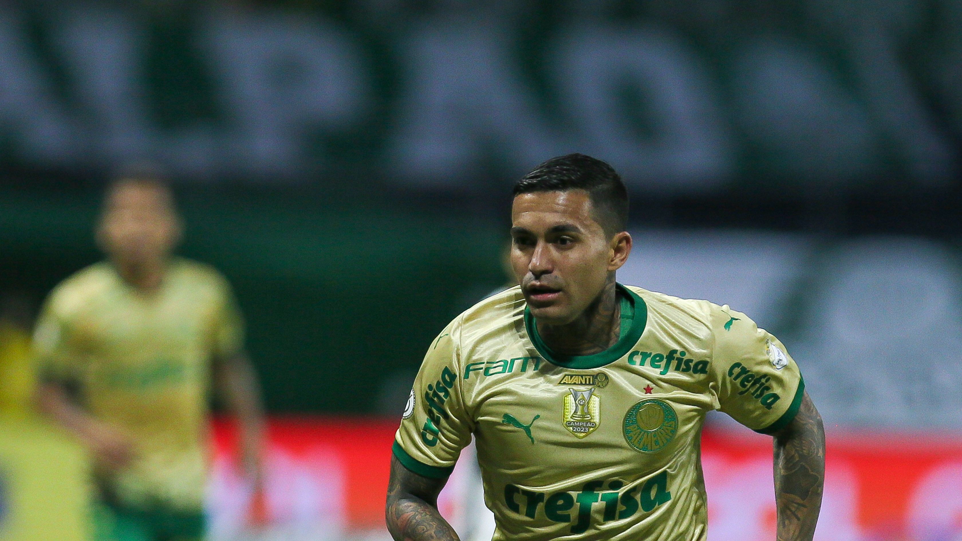 Palmeiras v Criciuma - Brasileirao 2024