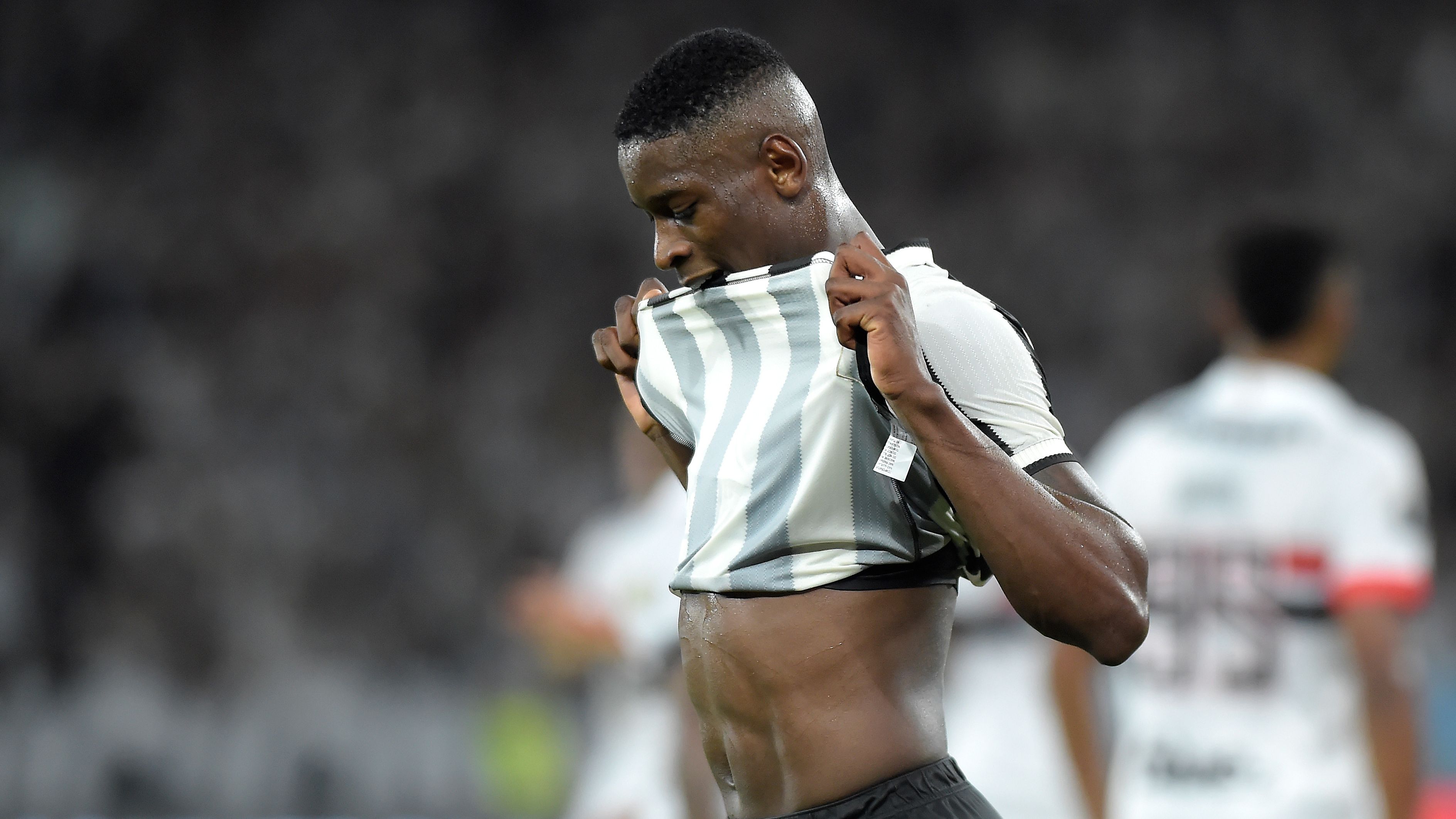 Botafogo v Sao Paulo - Copa CONMEBOL Libertadores 2024