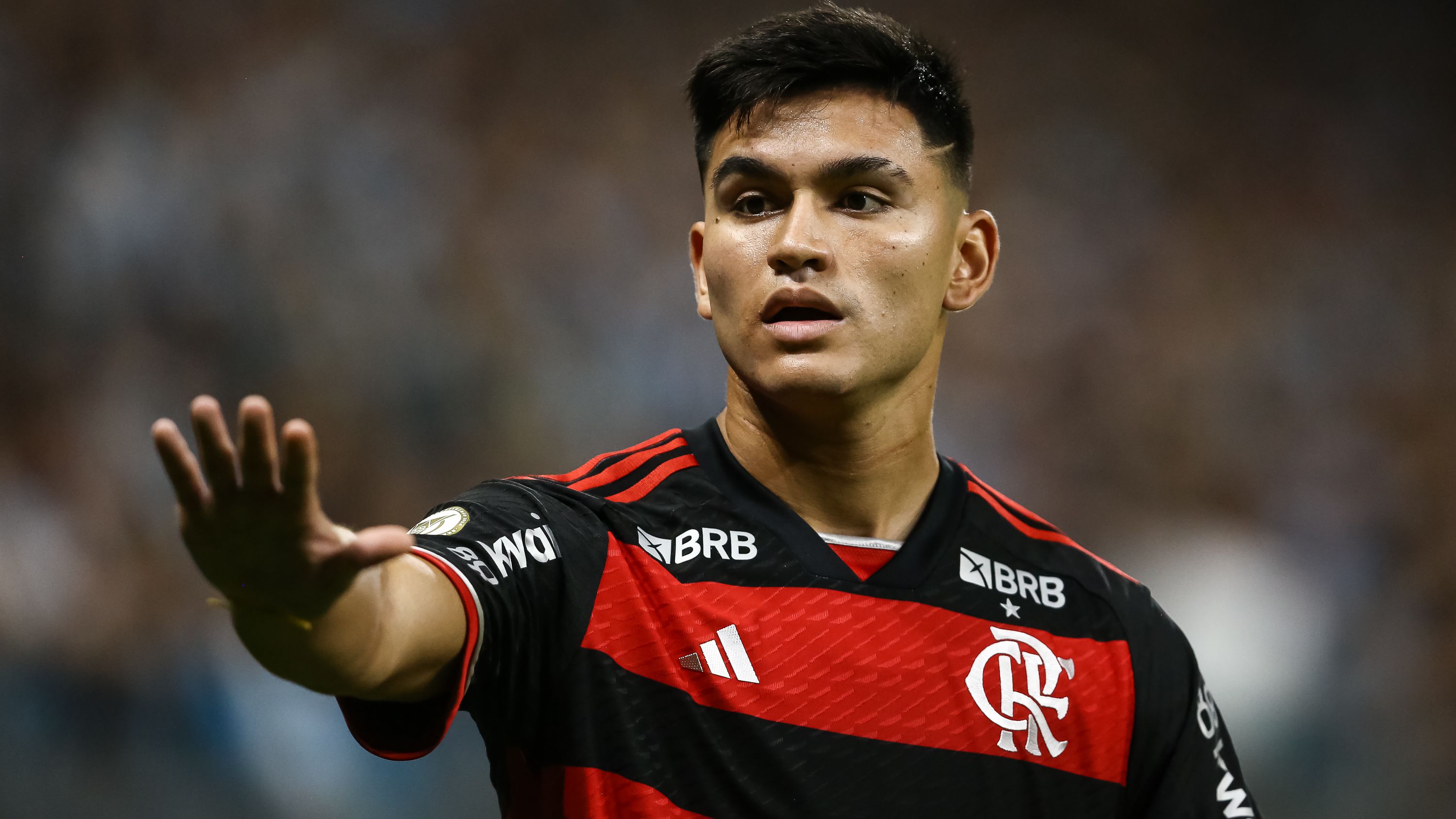 Gremio v Flamengo - Brasileirao 2024