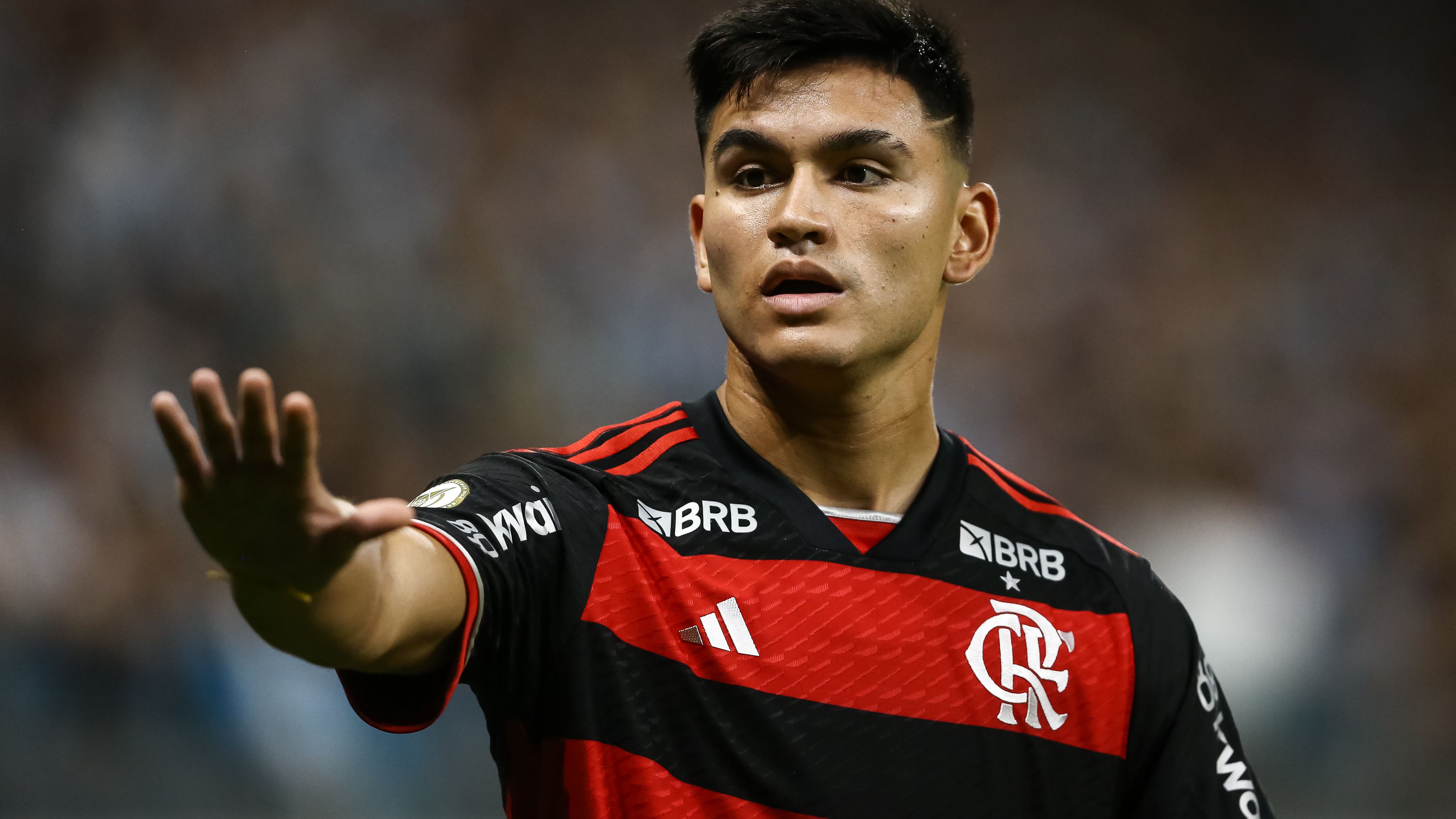 Gremio v Flamengo - Brasileirao 2024