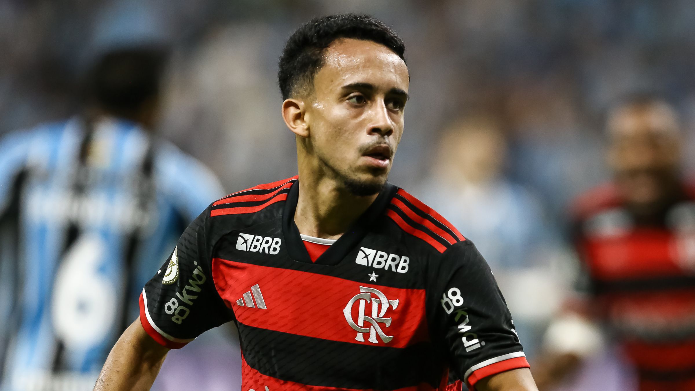 Gremio v Flamengo - Brasileirao 2024