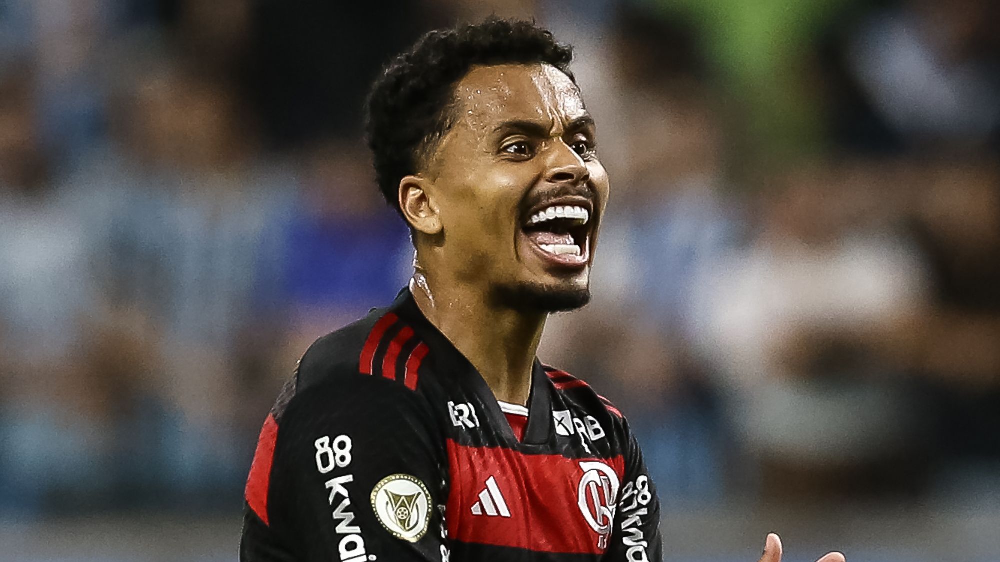 Gremio v Flamengo - Brasileirao 2024