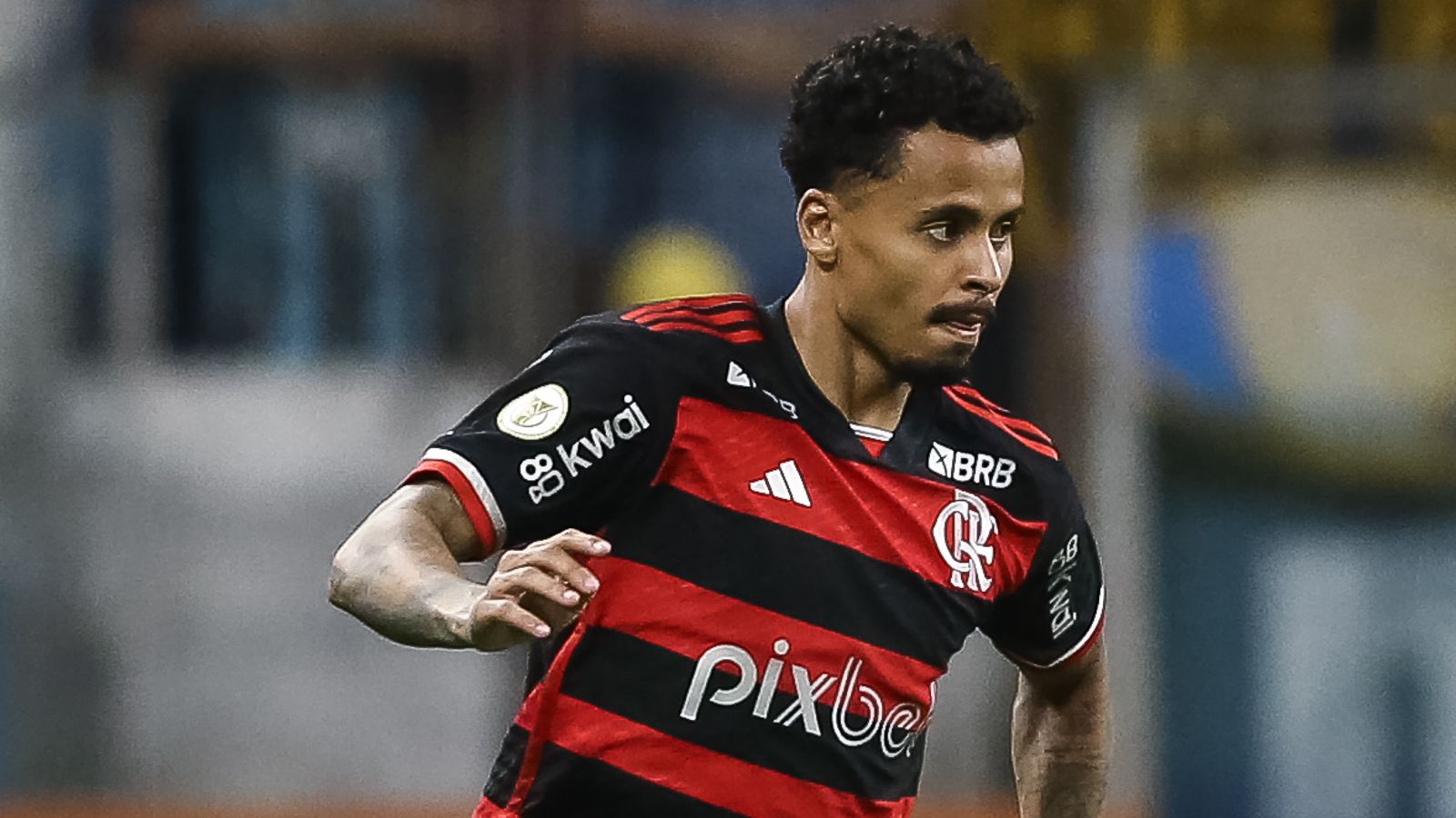 Gremio v Flamengo - Brasileirao 2024