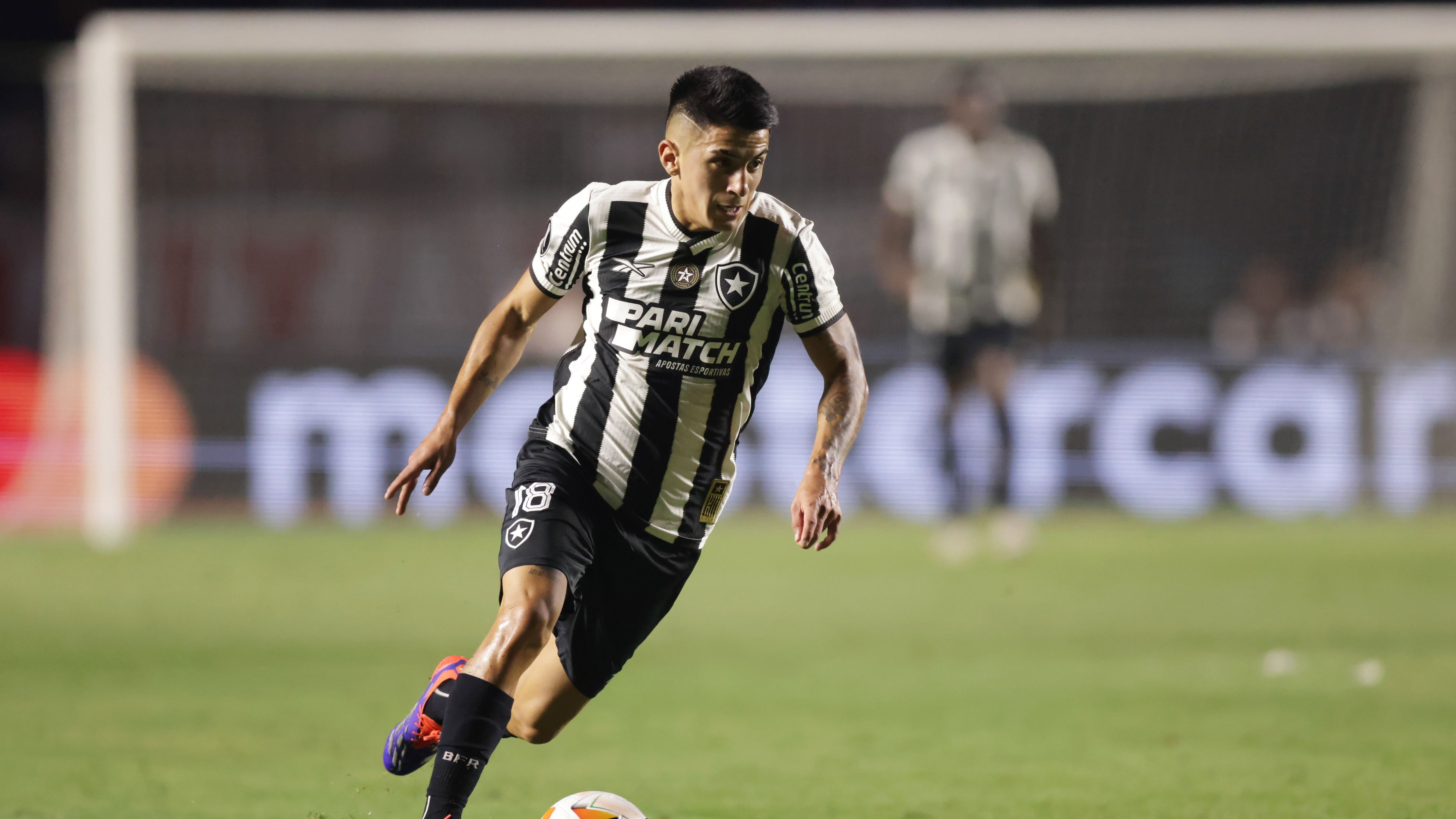Sao Paulo v Botafogo - Copa CONMEBOL Libertadores 2024
