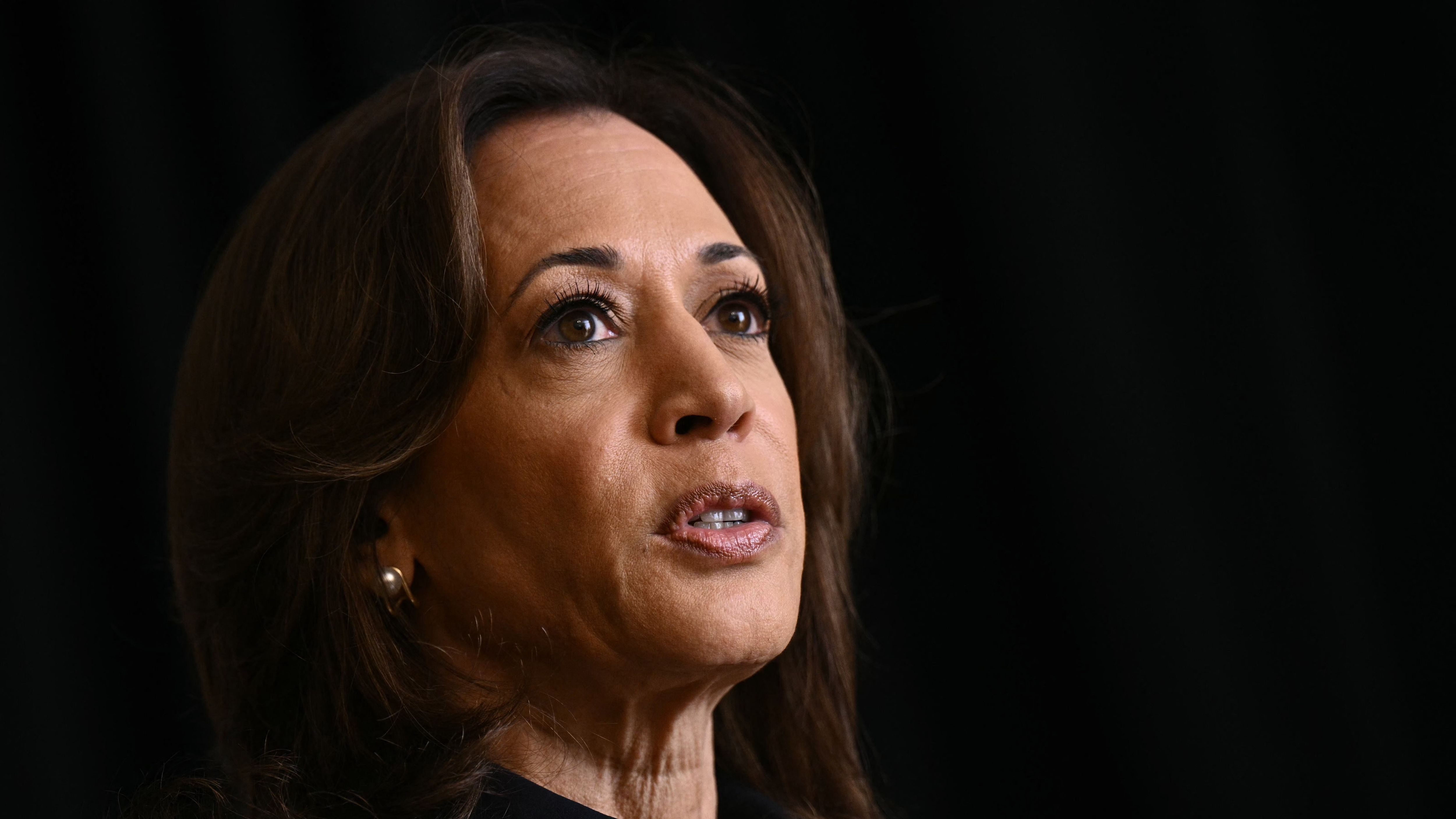 US-VOTE-POLITICS-HARRIS