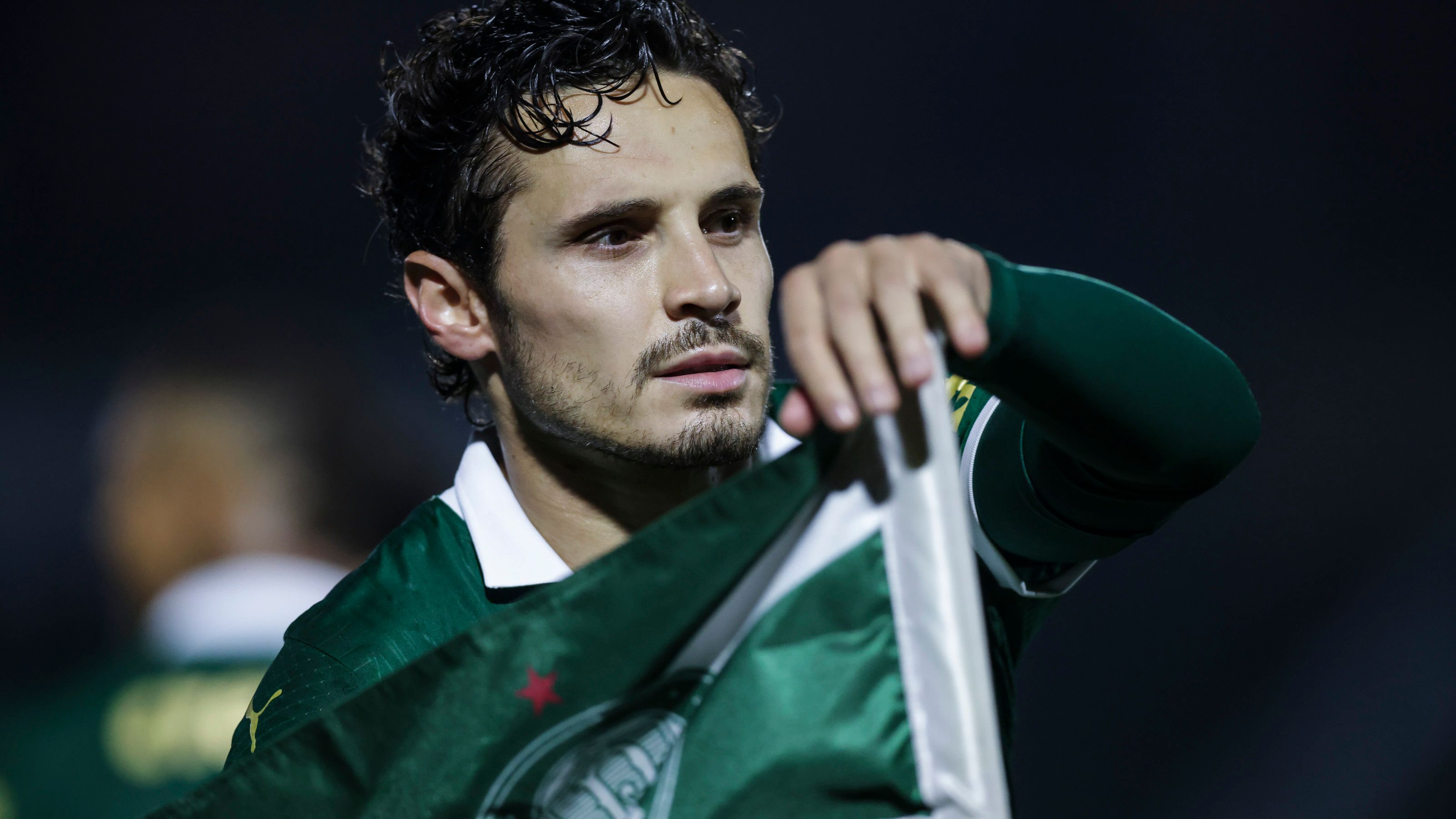 Palmeiras v Atletico Mineiro - Brasileirao 2024