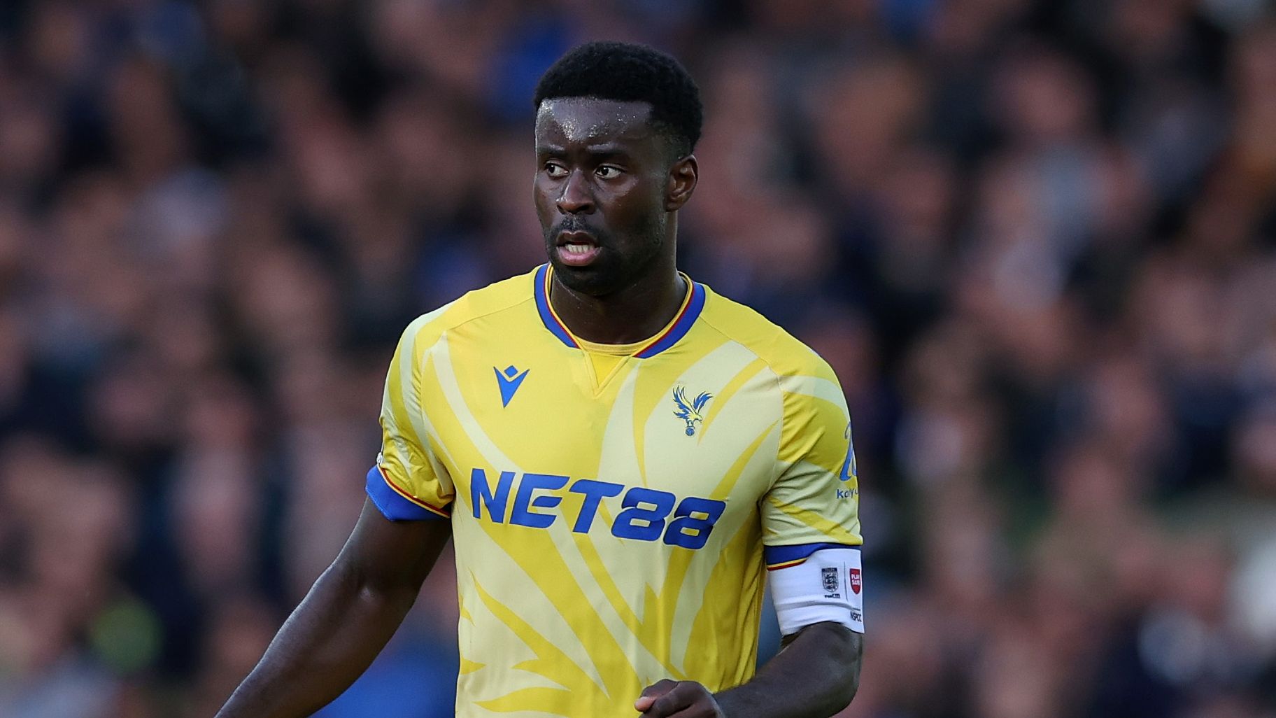 Everton FC v Crystal Palace FC - Premier League