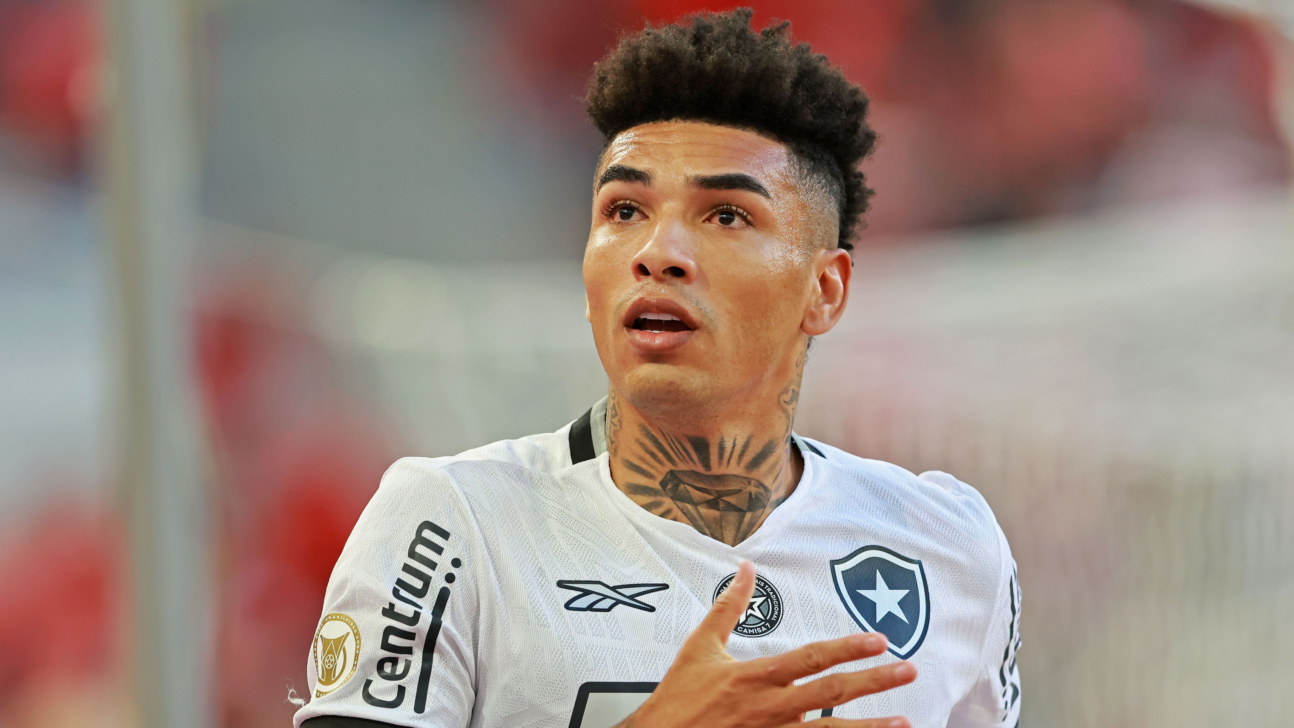 Athletico Paranaense v Botafogo - Brasileirao 2024