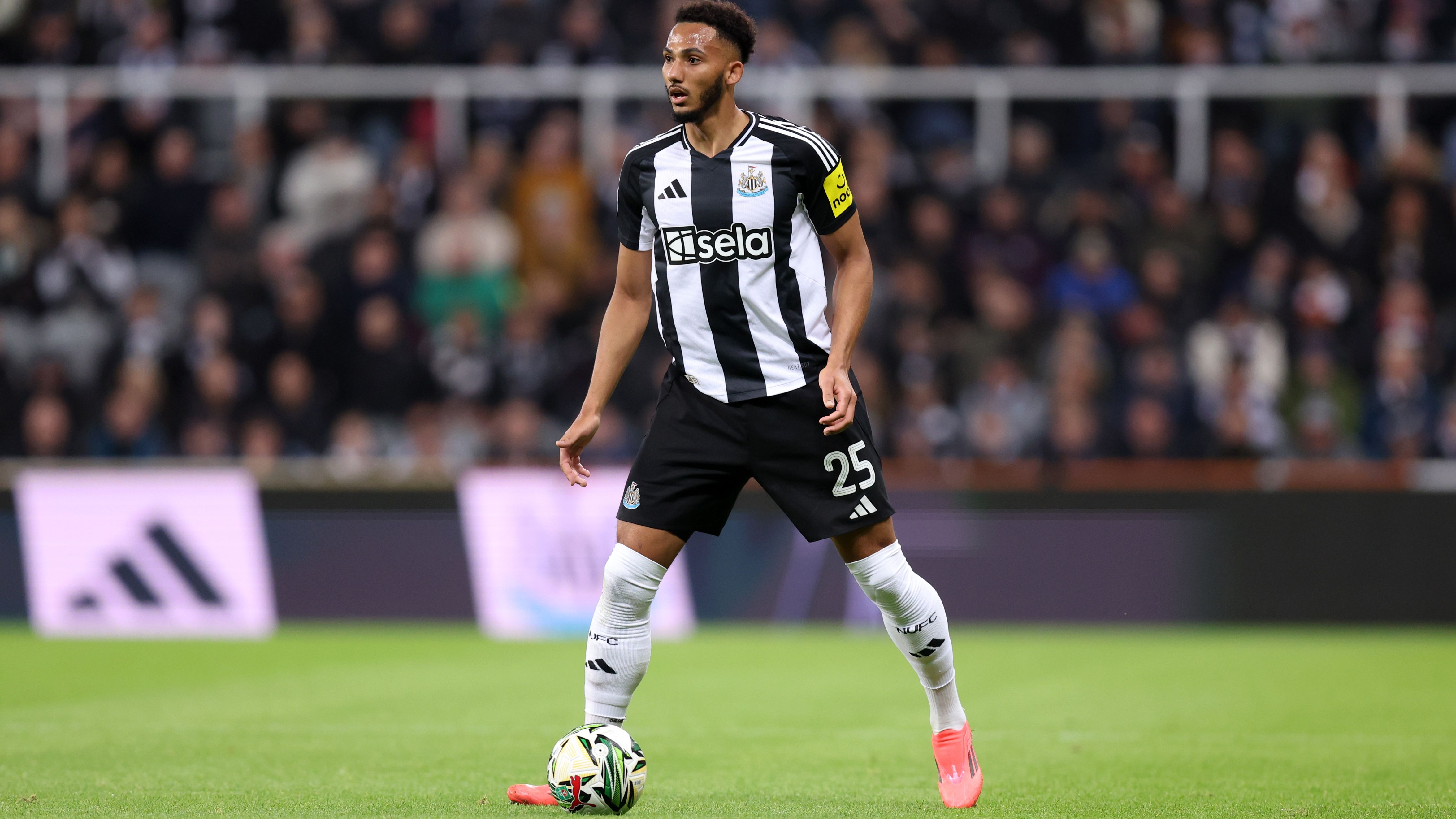 Newcastle United v AFC Wimbledon - Carabao Cup Third Round