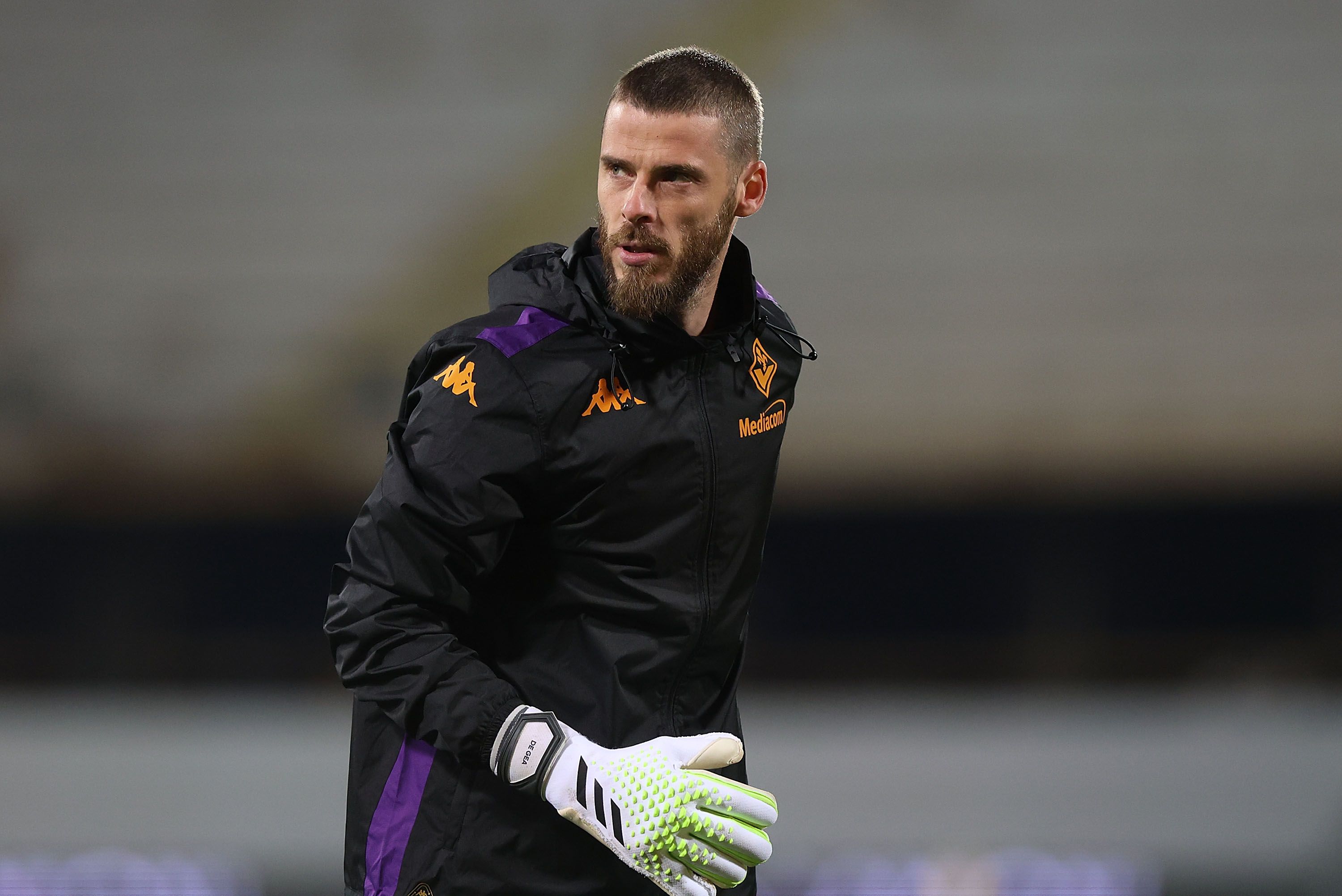 Fiorentina v AC Milan - Serie A