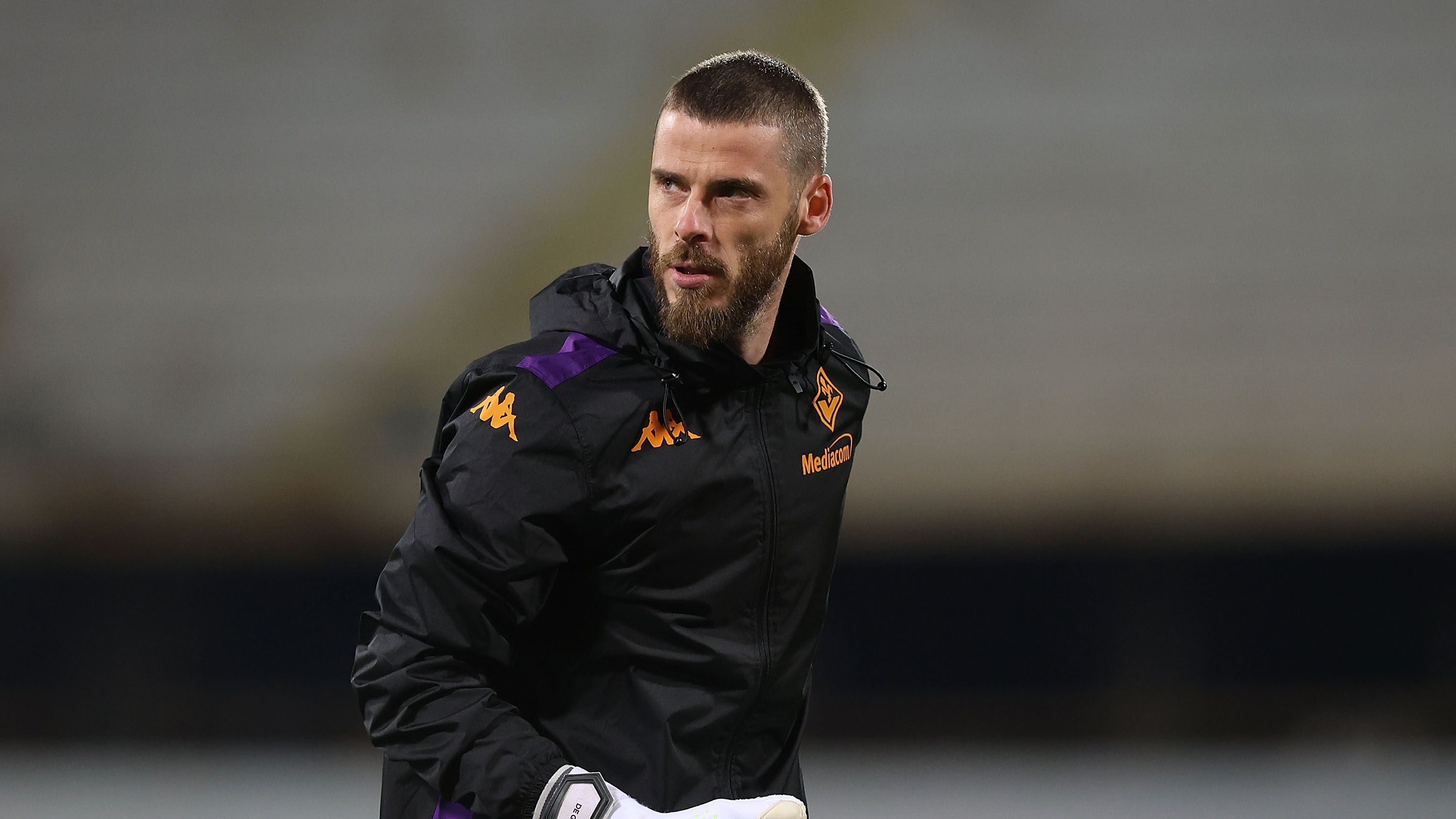 Fiorentina v AC Milan - Serie A