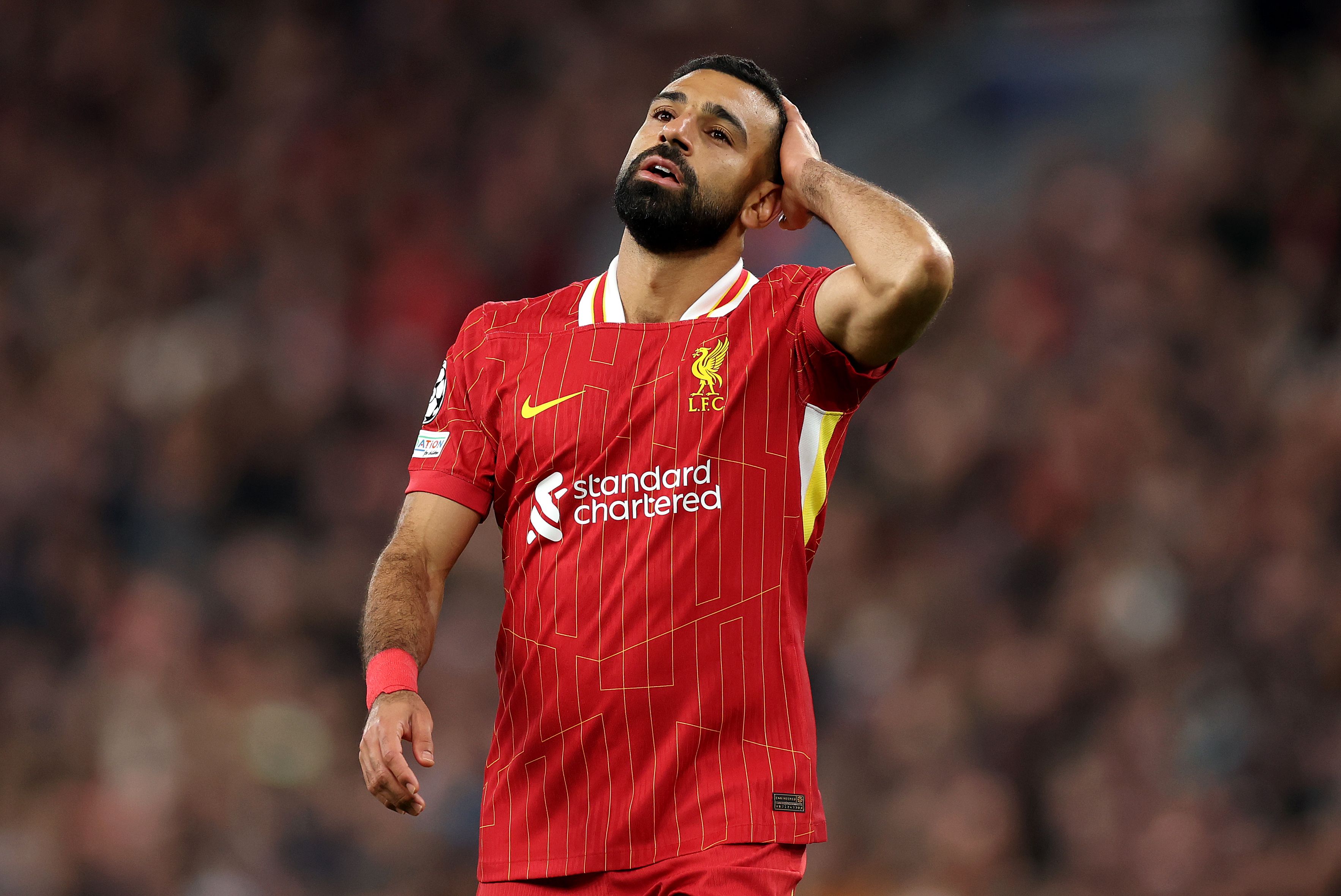 Liverpool FC v Bologna FC 1909 - UEFA Champions League 2024/25 League Phase MD2