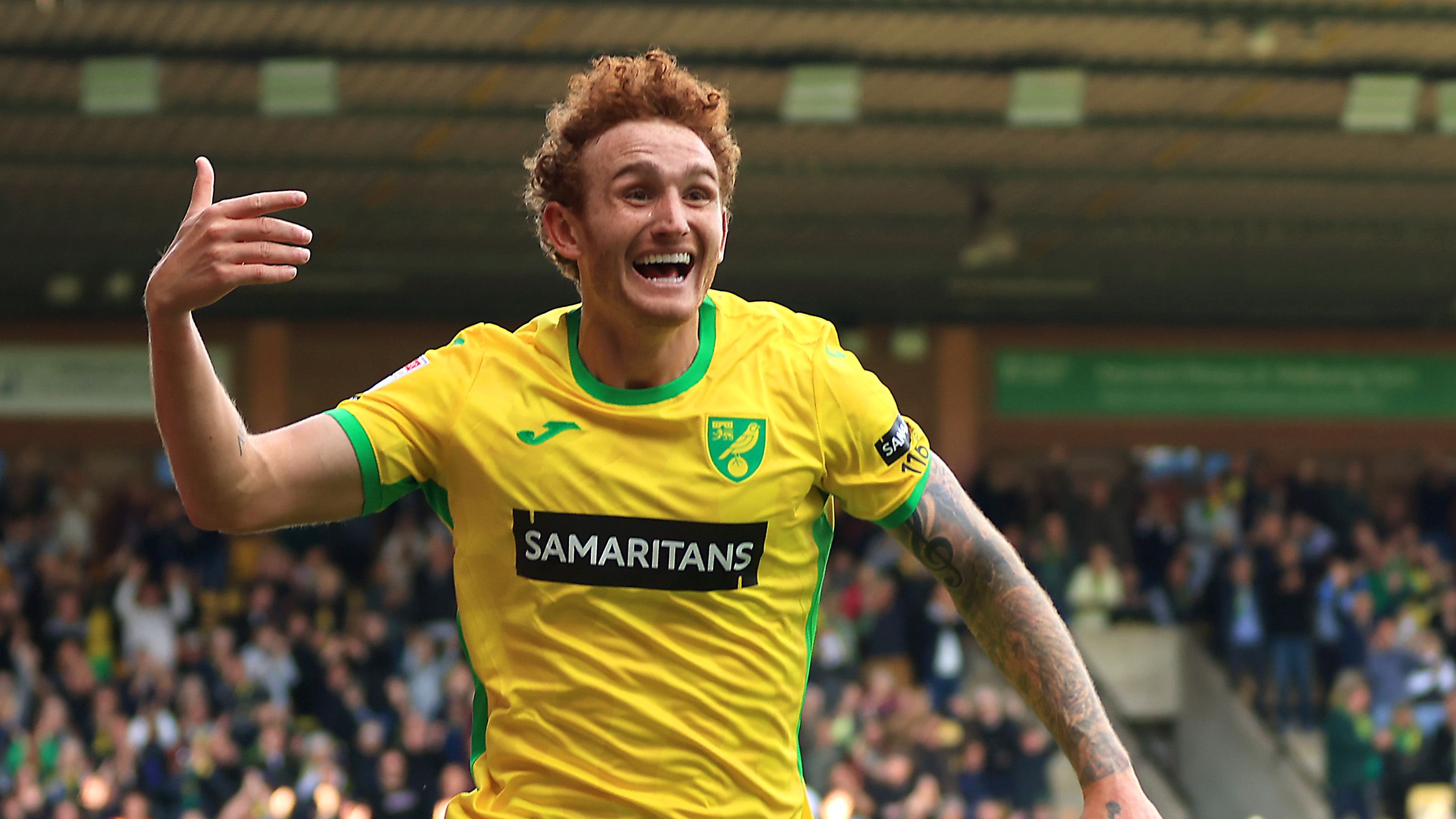 Josh Sargent Norwich vs Hull 2024