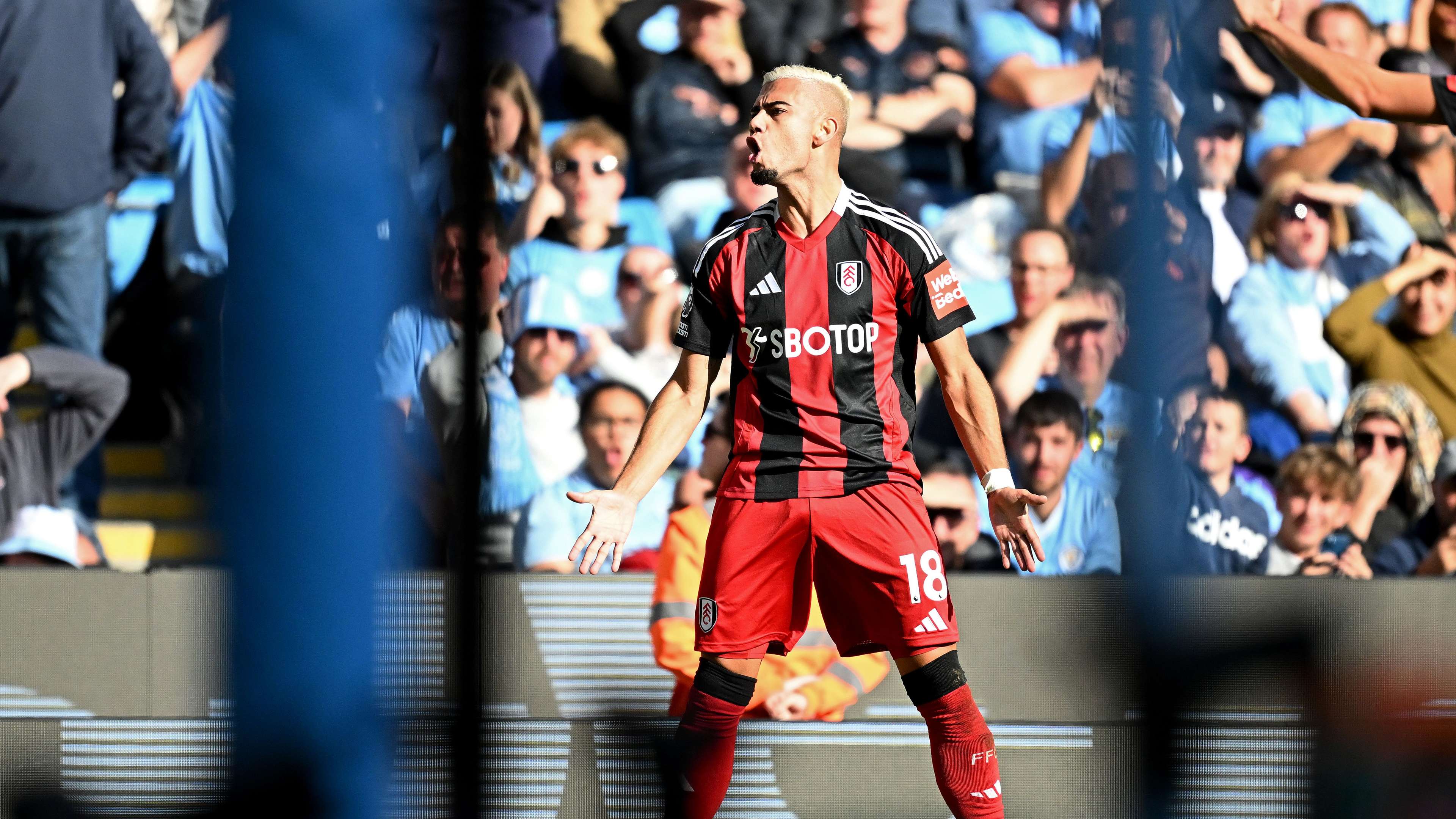 Manchester City FC v Fulham FC - Premier League