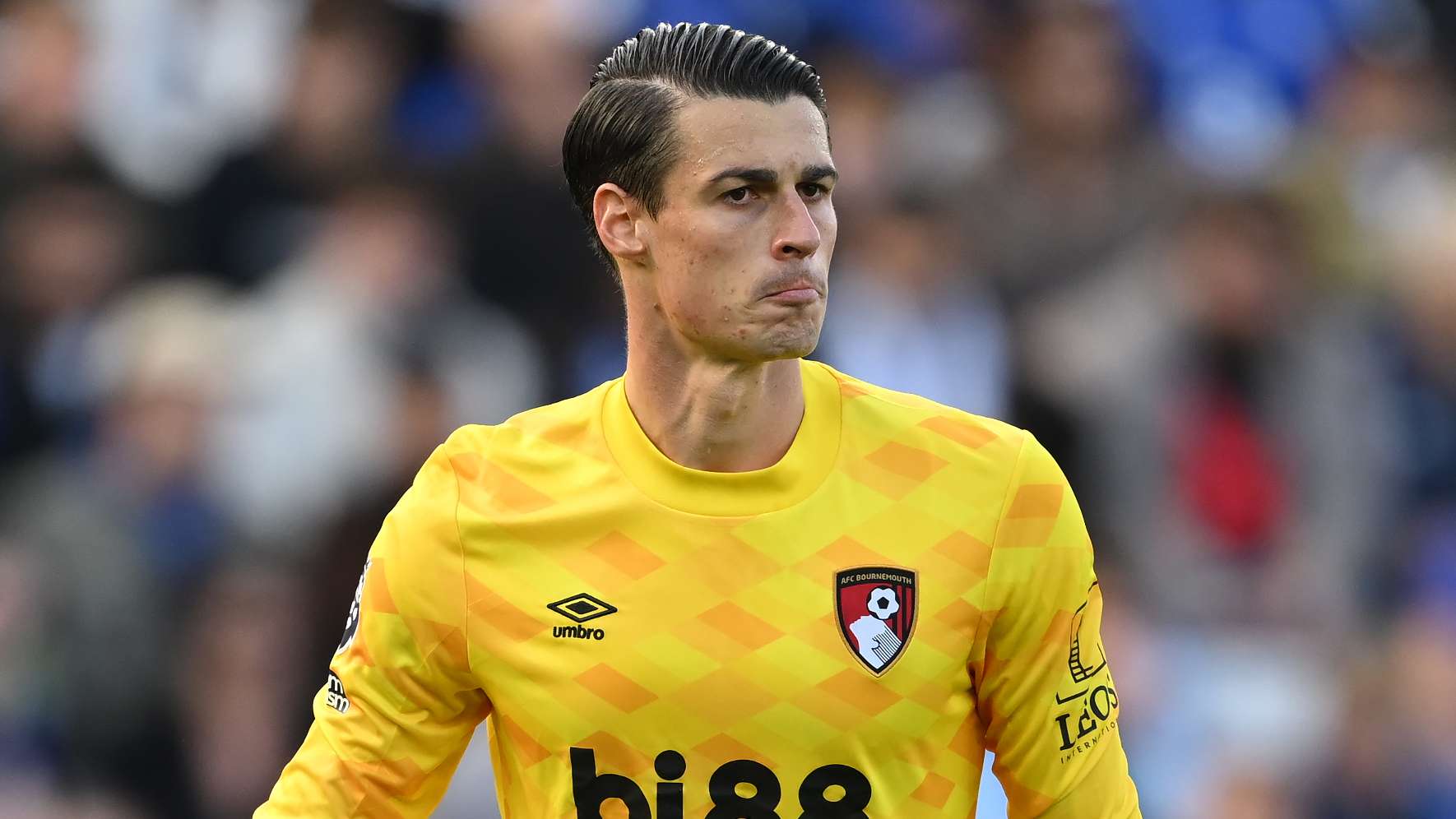 Leicester City FC v AFC Bournemouth - Premier League