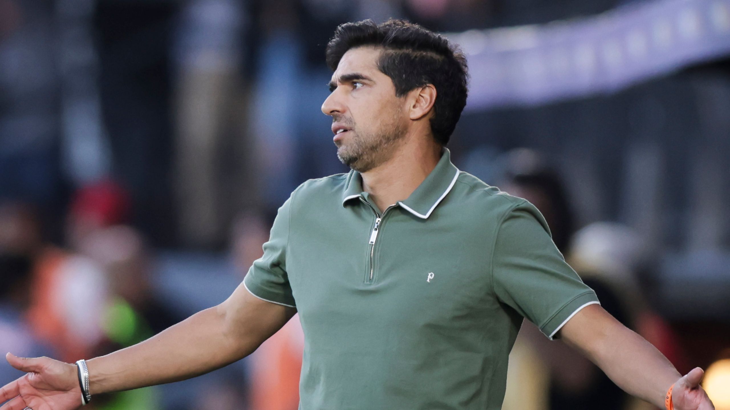 Bragantino v Palmeiras - Brasileirao 2024