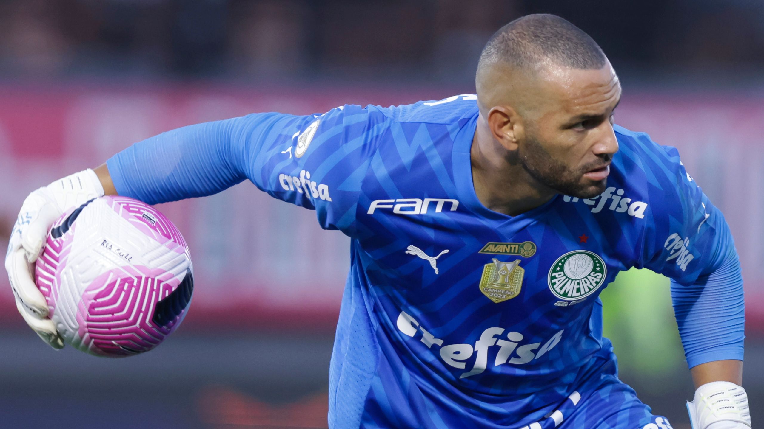 Bragantino v Palmeiras - Brasileirao 2024