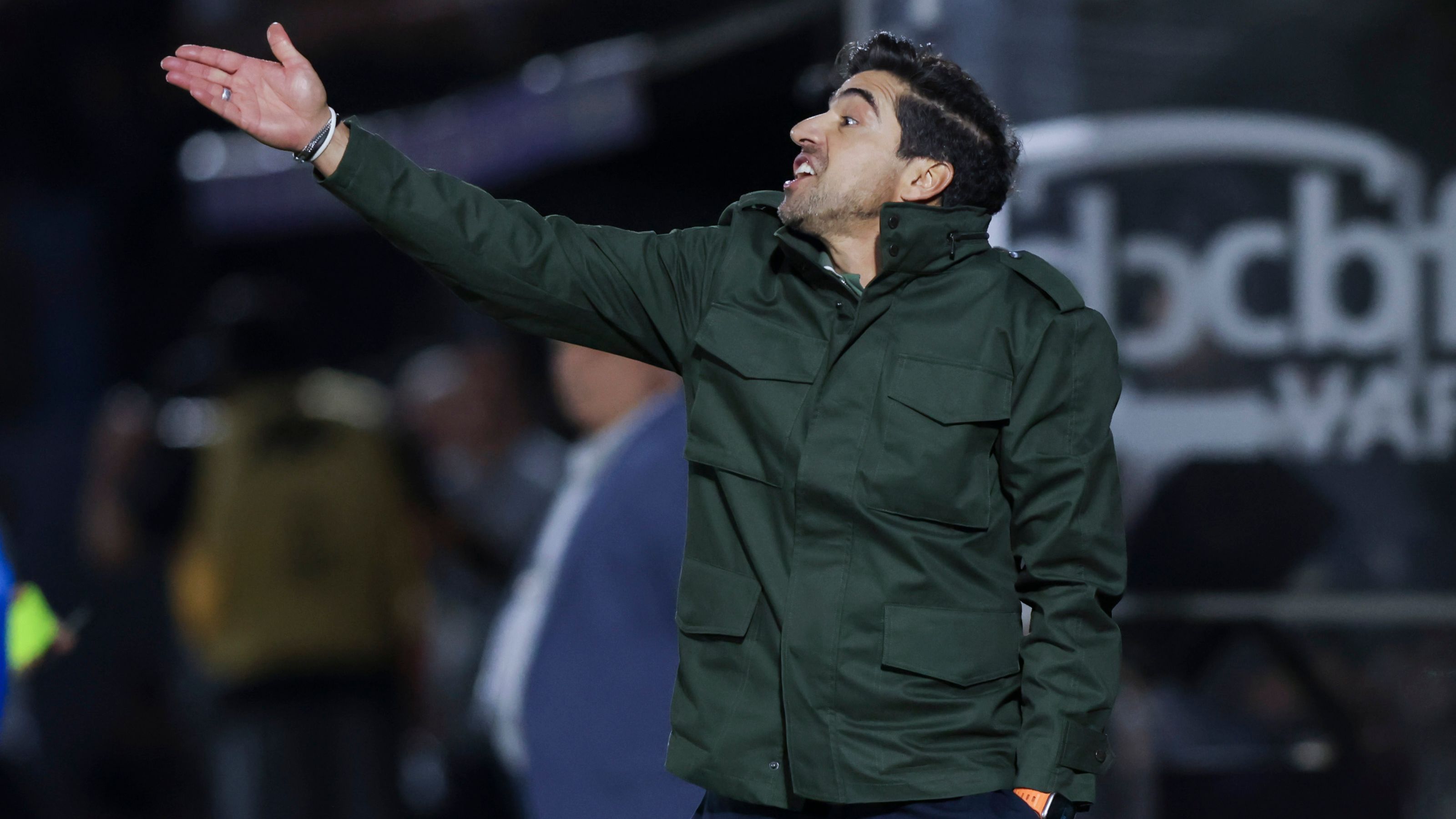 Bragantino v Palmeiras - Brasileirao 2024