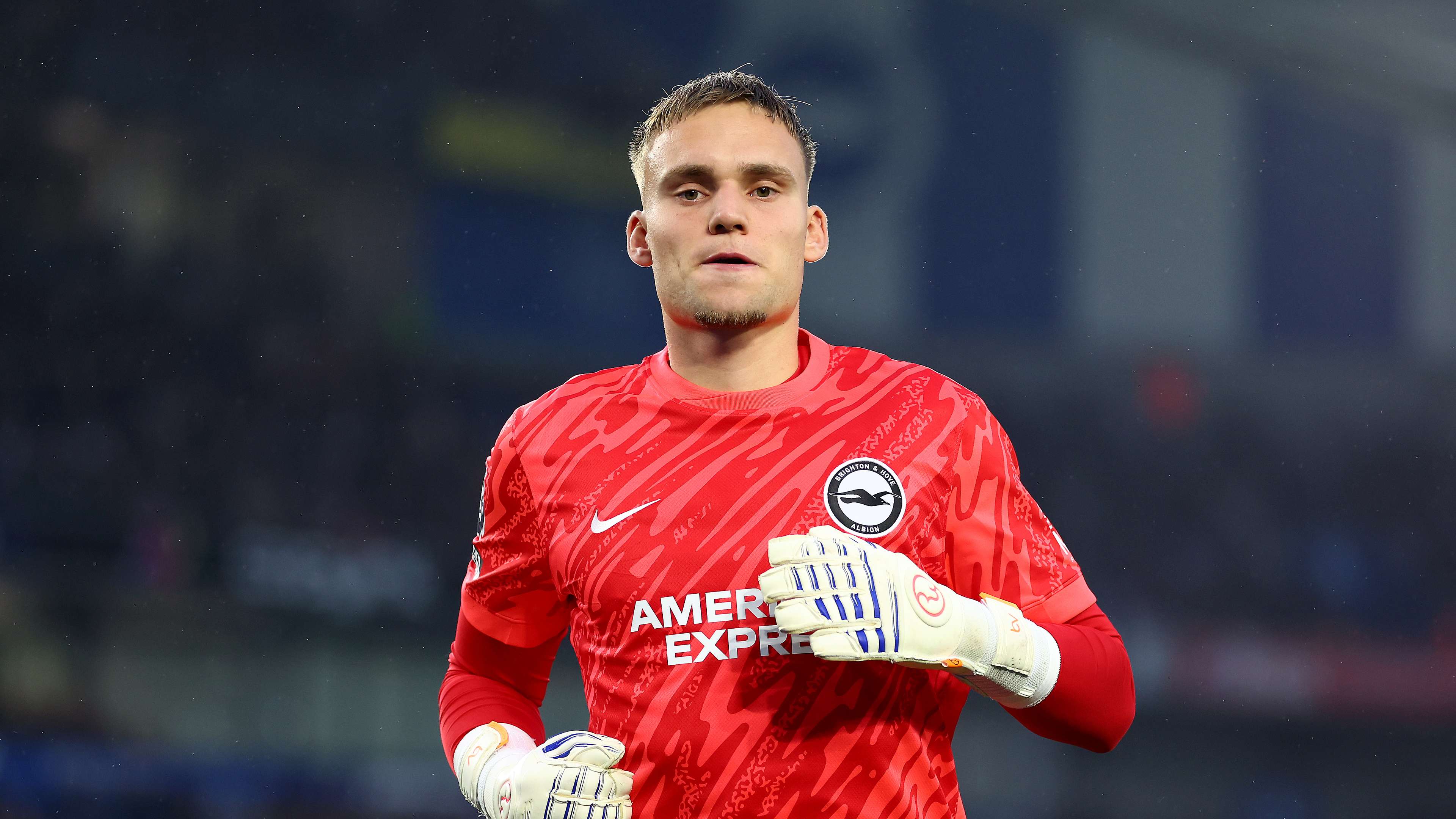 Brighton & Hove Albion FC v Tottenham Hotspur FC - Premier League