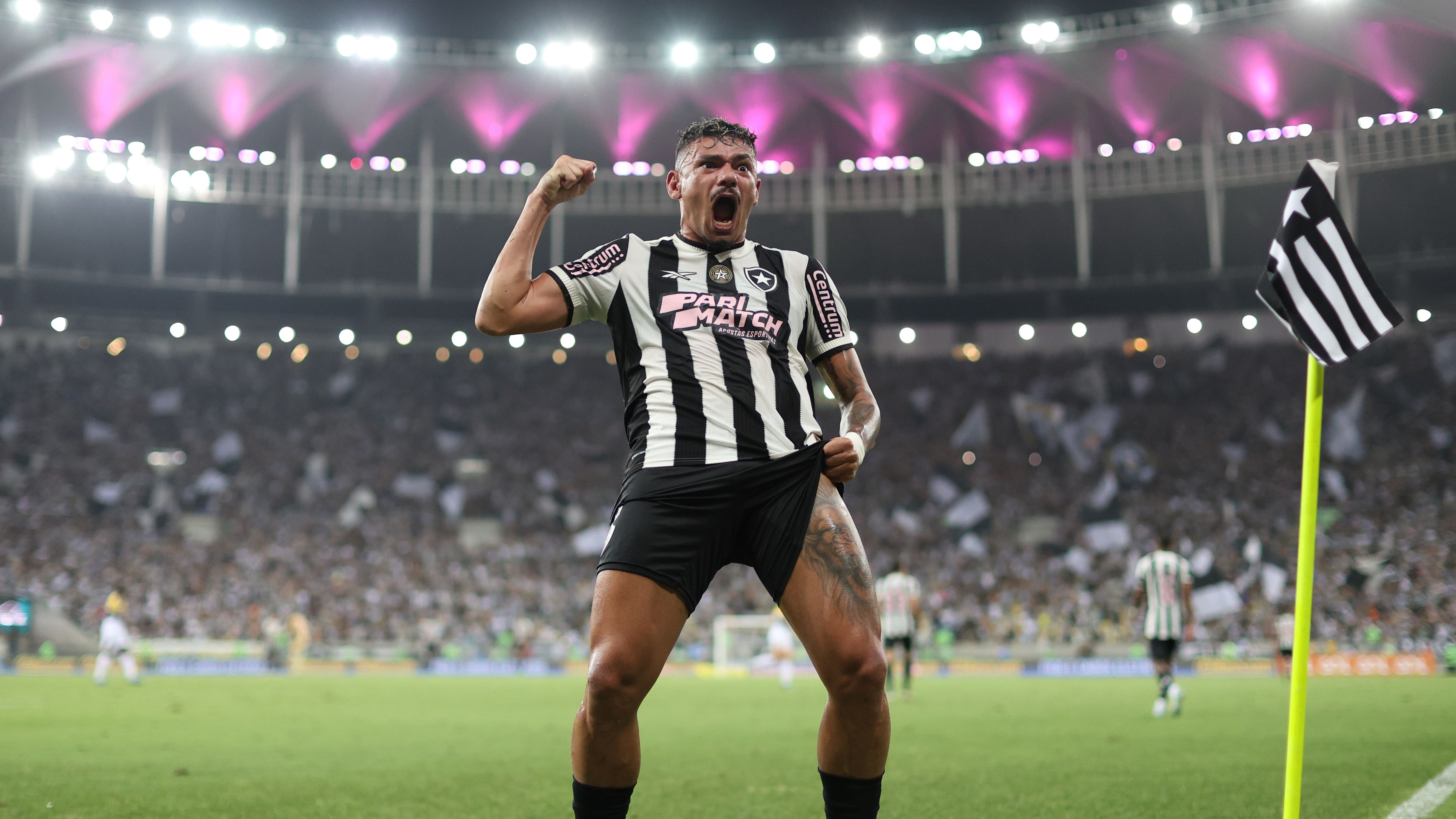 Botafogo v Criciuma - Brasileirao 2024