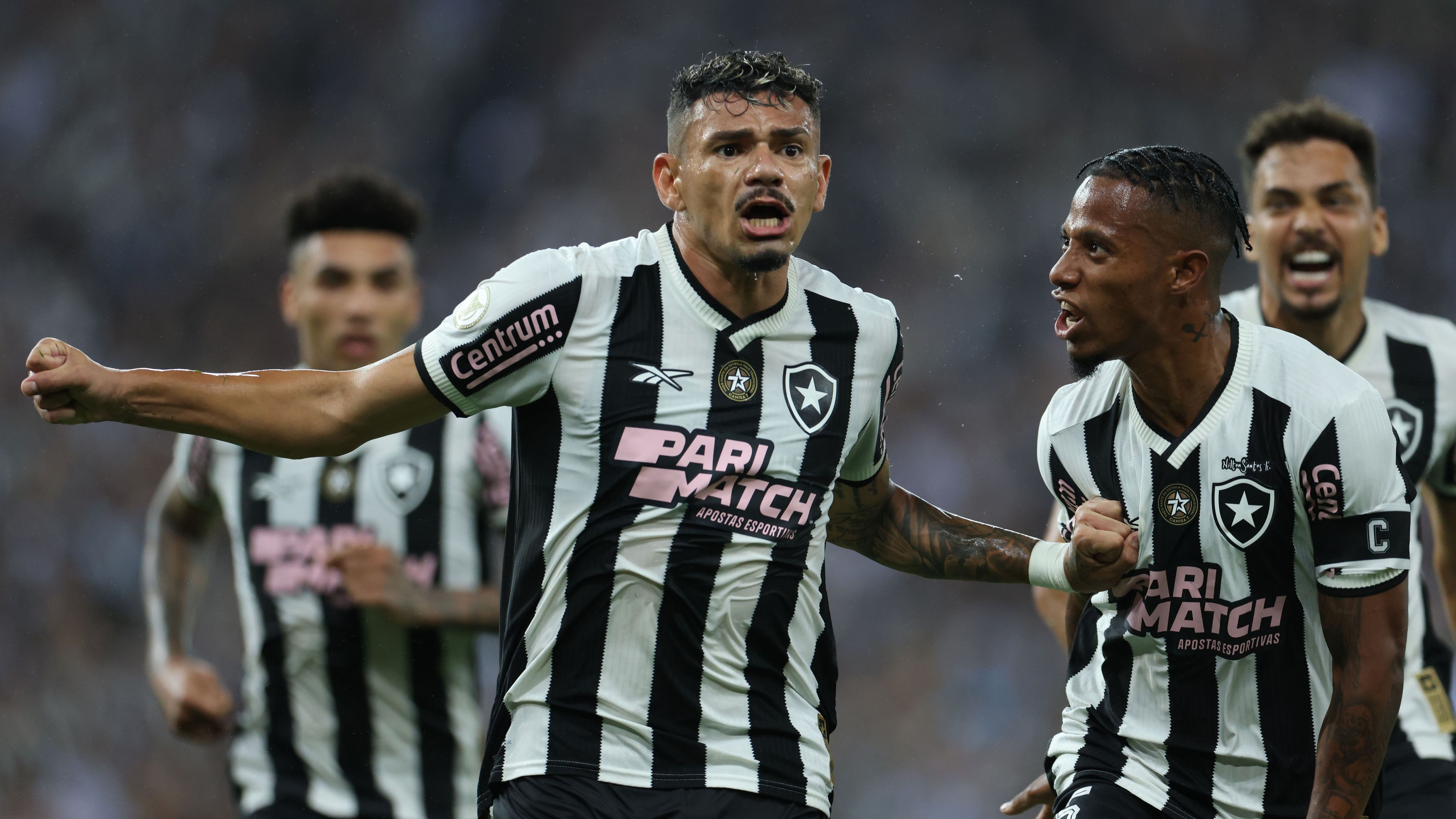 Botafogo v Criciuma - Brasileirao 2024