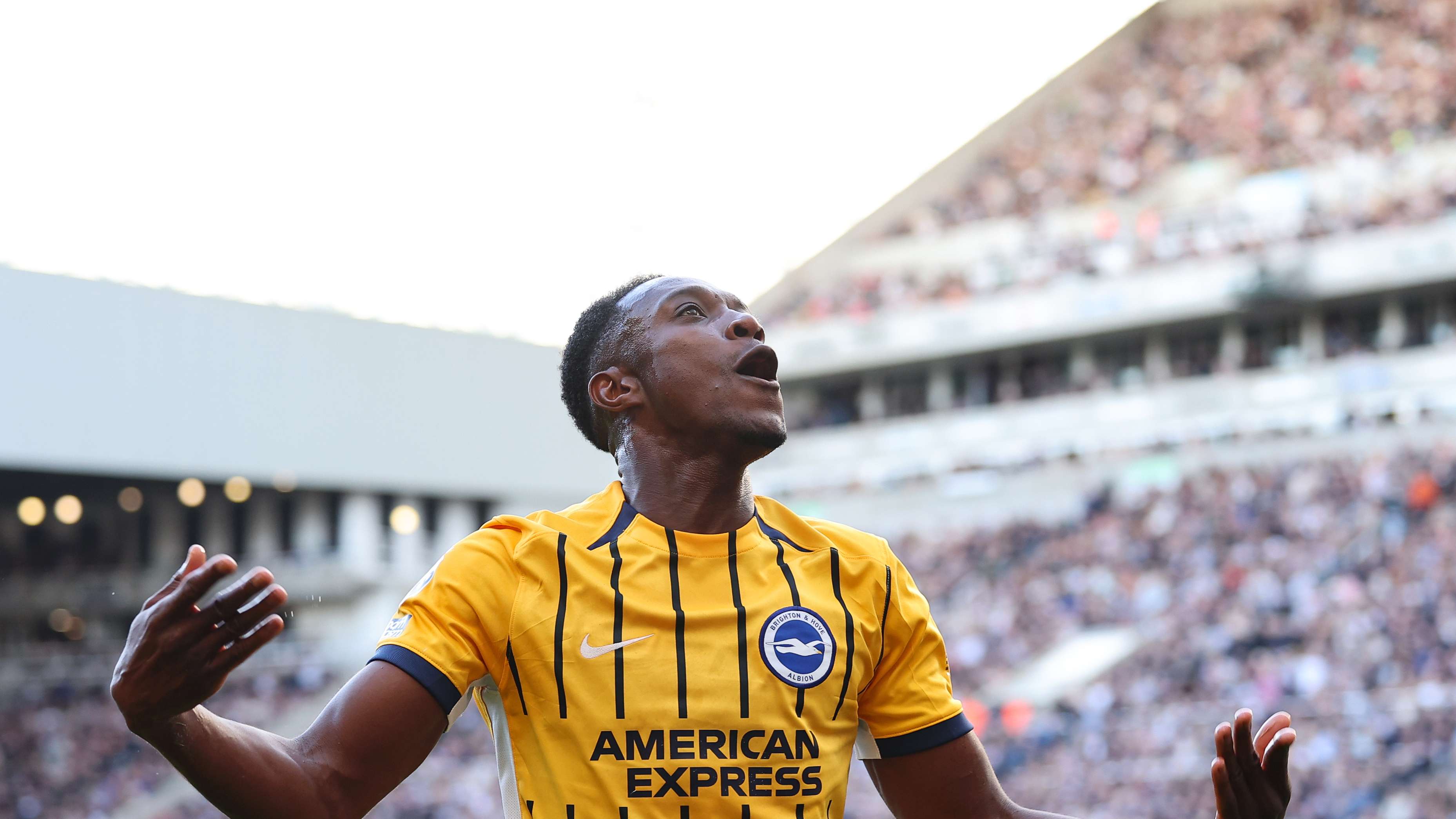 Newcastle United FC v Brighton & Hove Albion FC - Premier League