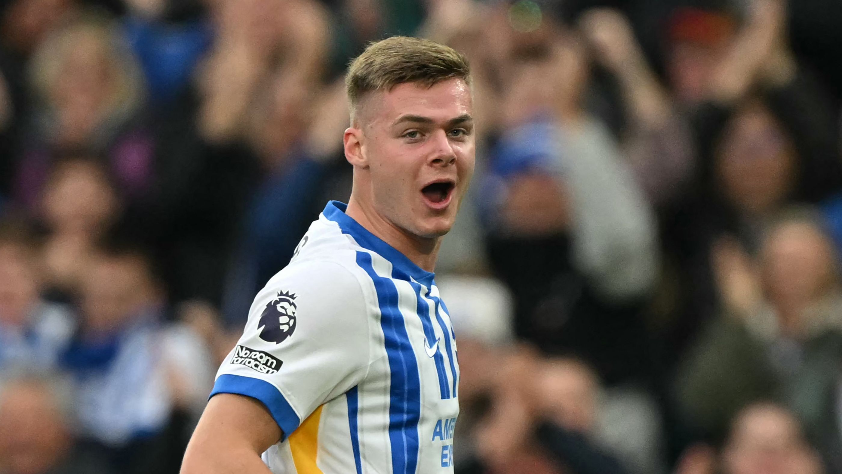 FBL-ENG-PR-BRIGHTON-WOLVES