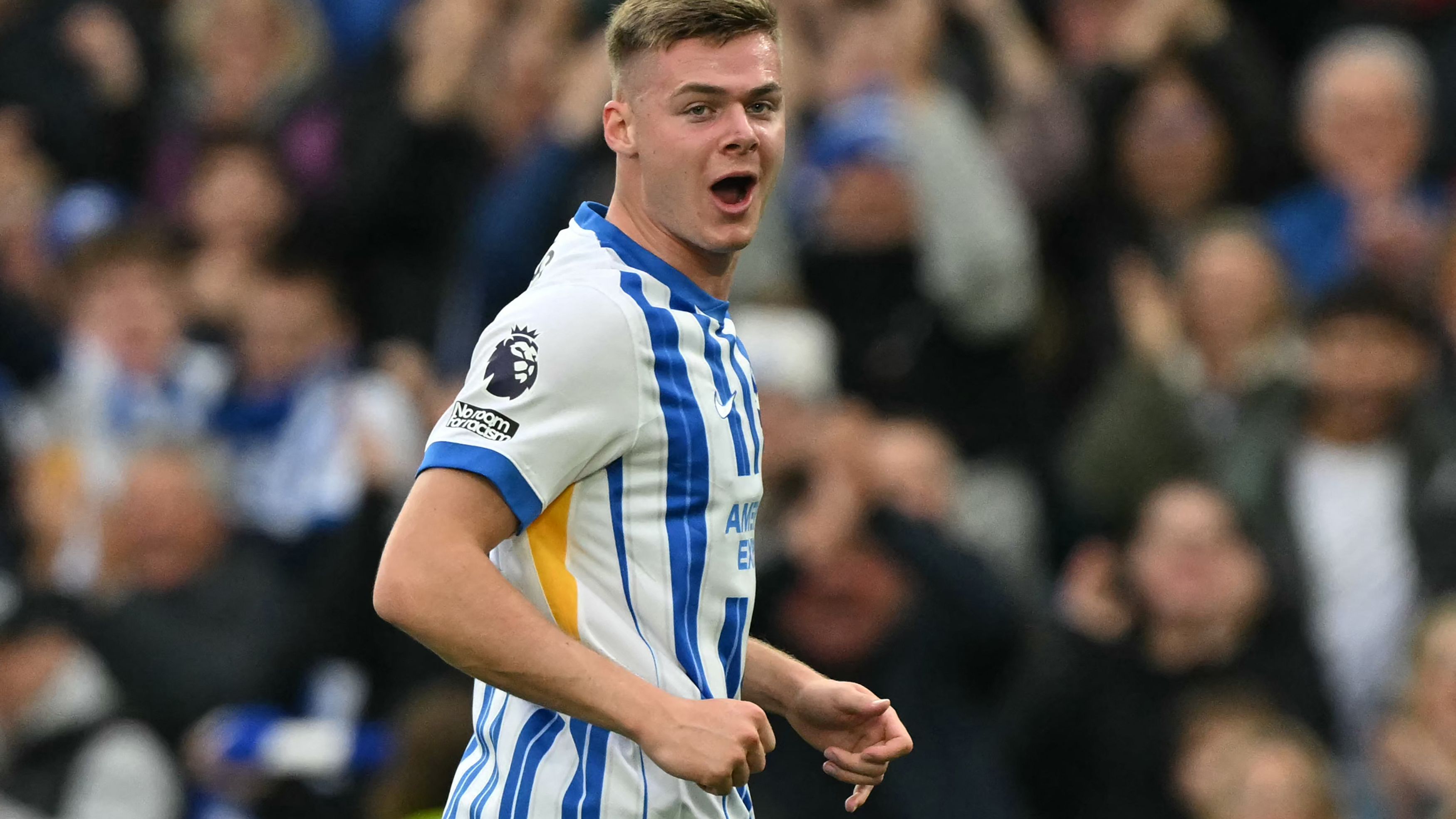 FBL-ENG-PR-BRIGHTON-WOLVES