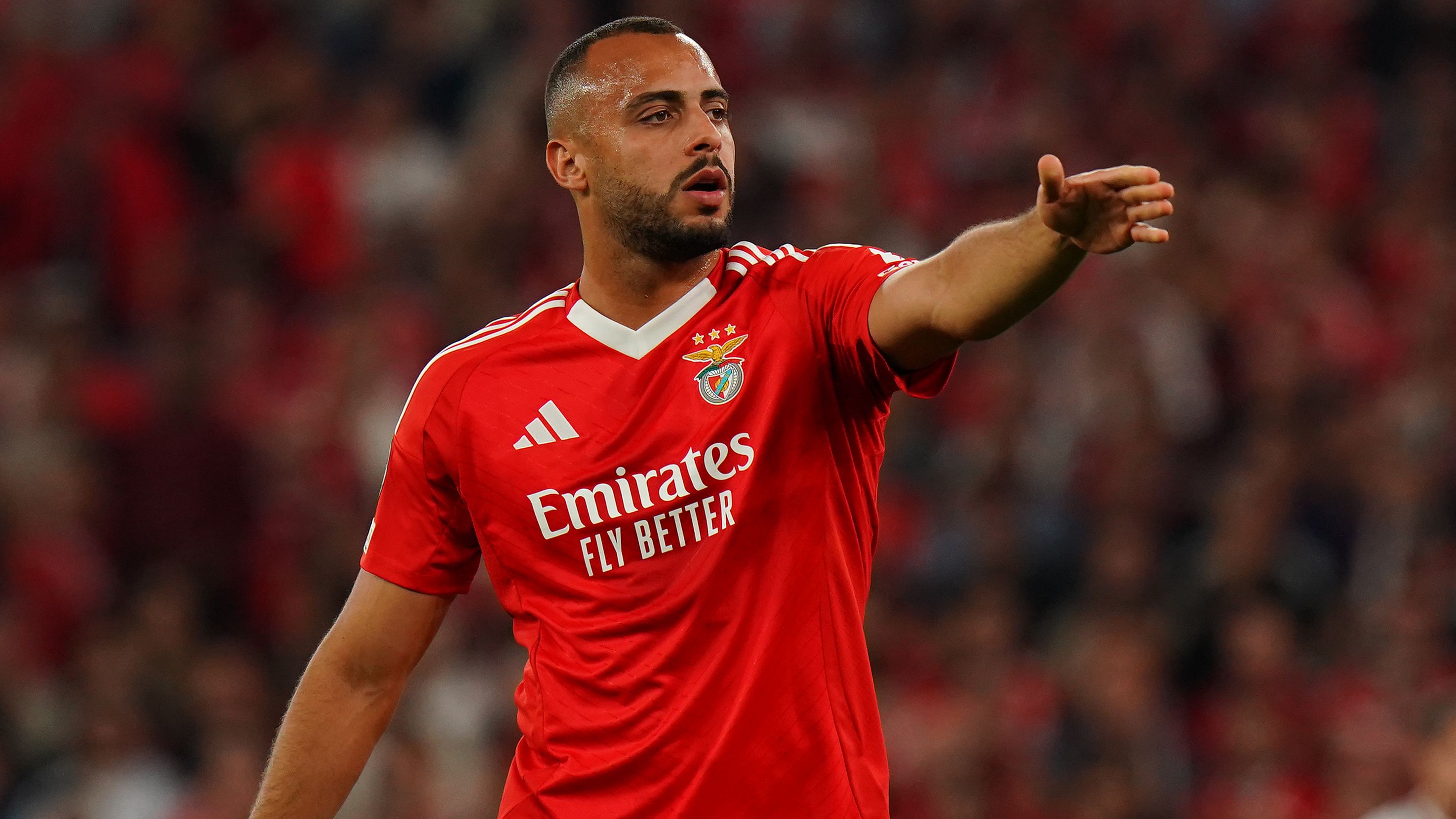 SL Benfica v Feyenoord - UEFA Champions League 2024/25 League Phase MD3