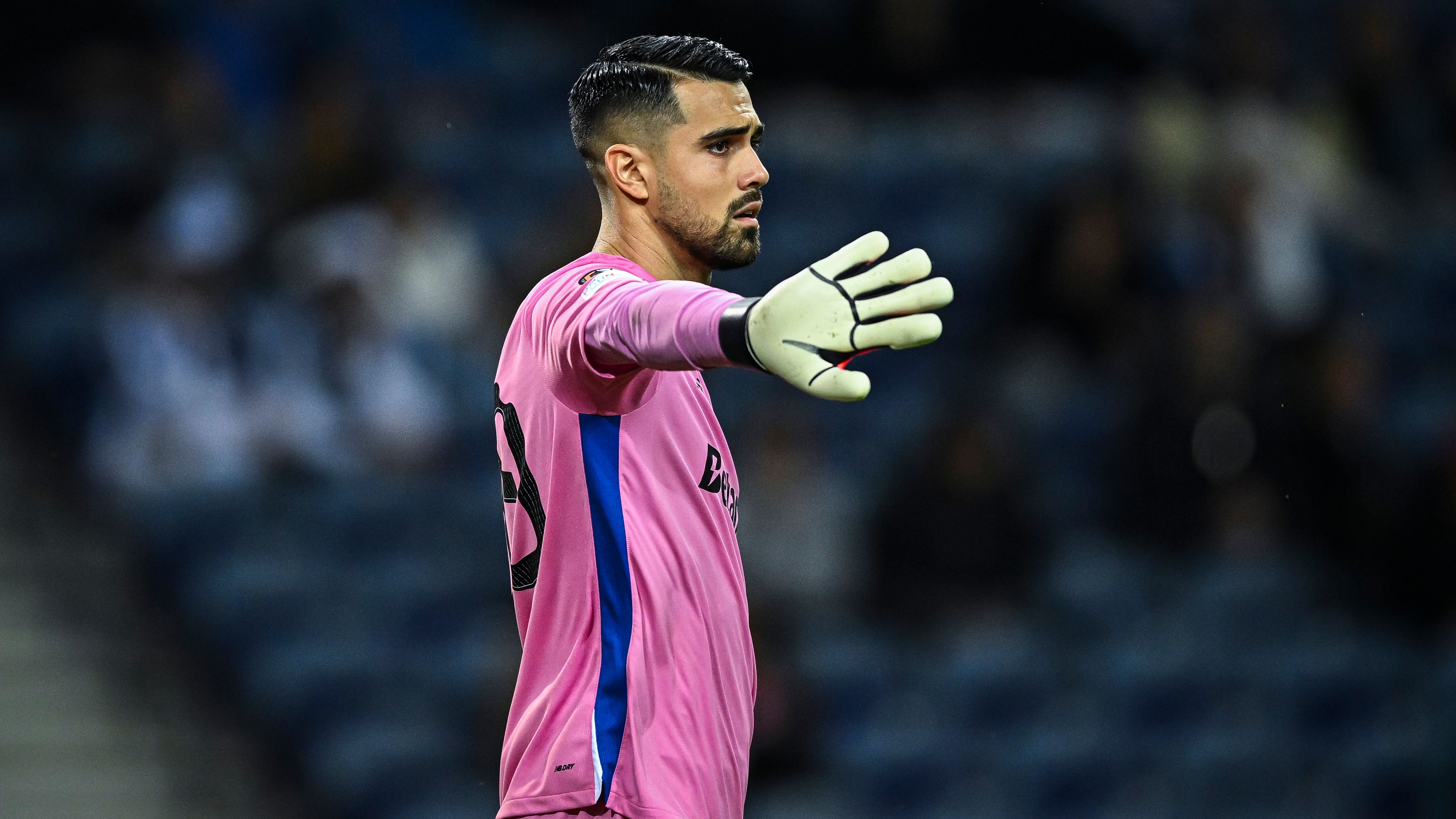 FC Porto v TSG 1899 Hoffenheim - UEFA Europa League 2024/25 League Phase MD3