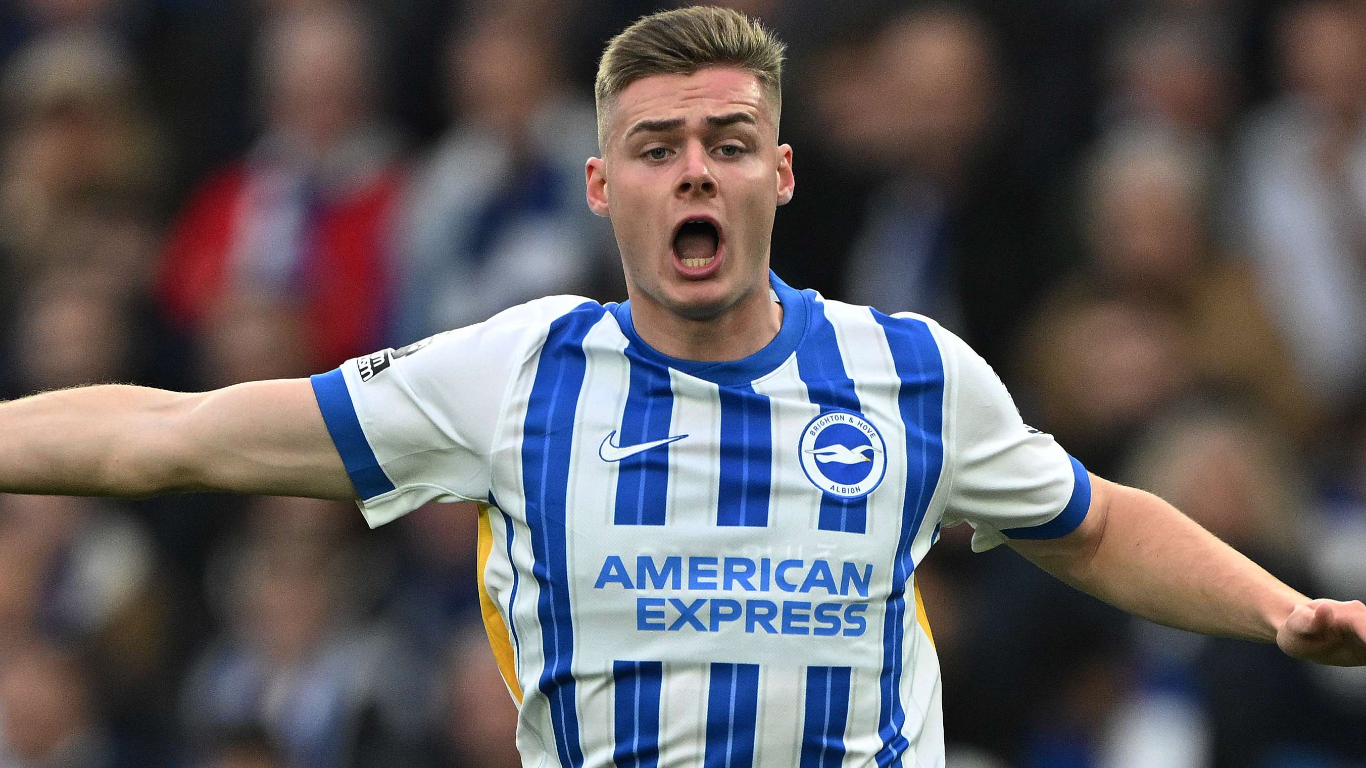 Brighton & Hove Albion FC v Wolverhampton Wanderers FC - Premier League