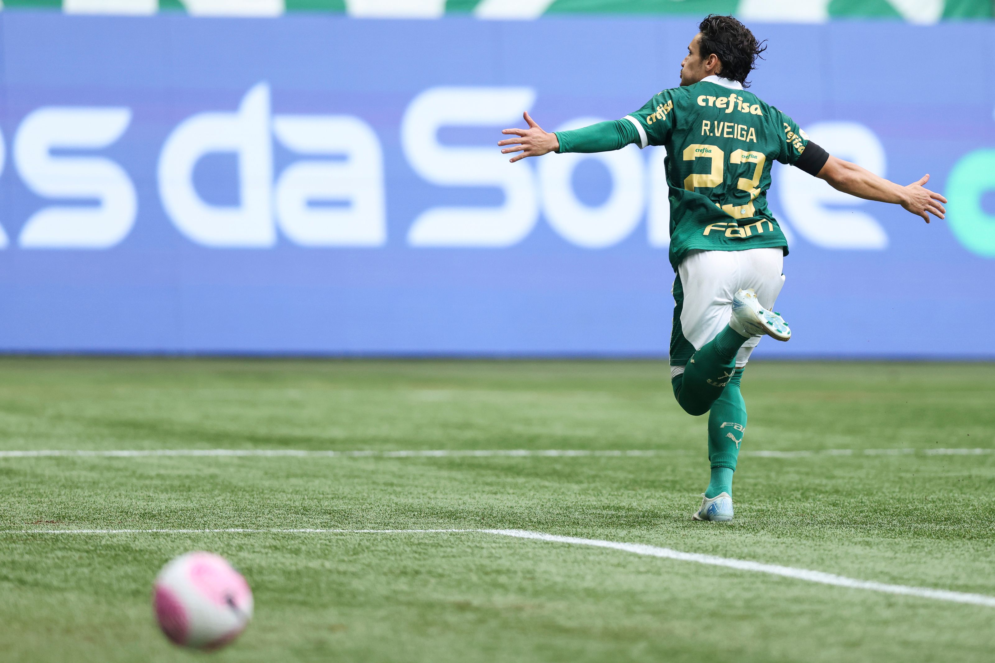 Palmeiras v Fortaleza - Brasileirao 2024