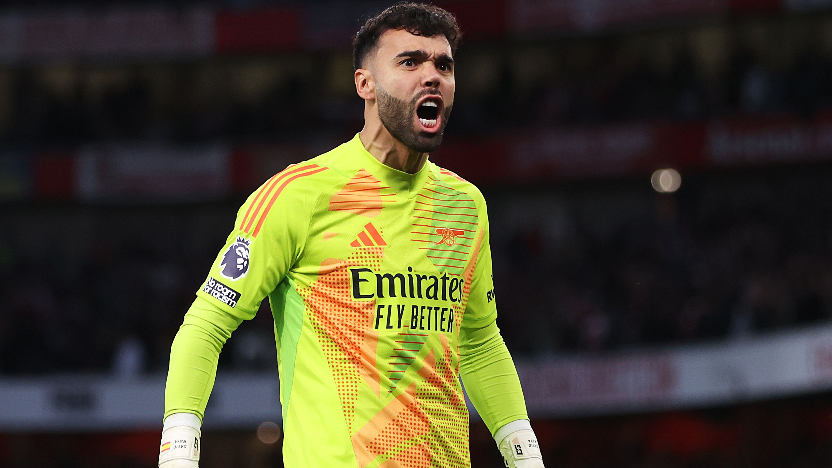 Arsenal FC v Liverpool FC - Premier League