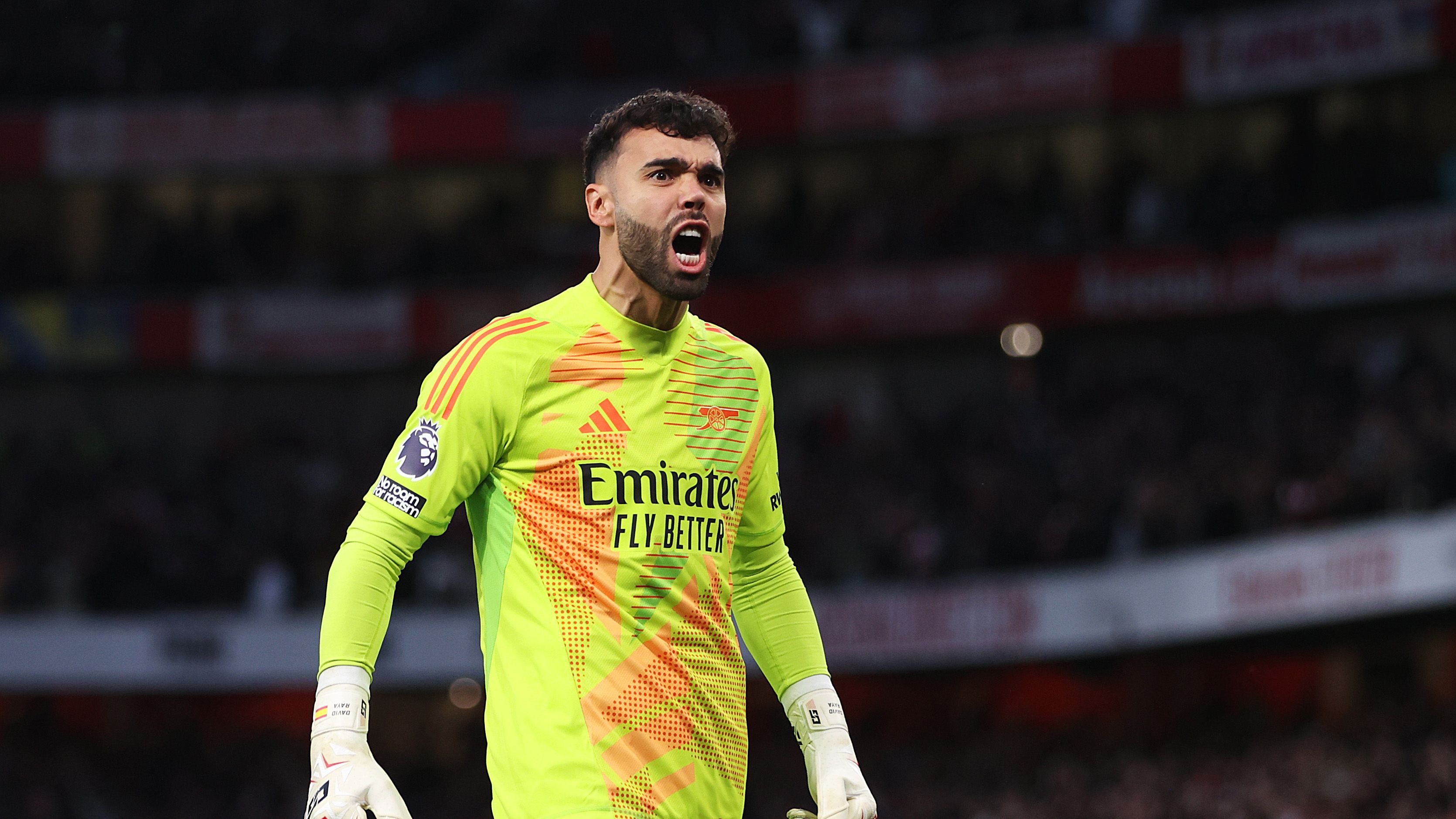 Arsenal FC v Liverpool FC - Premier League