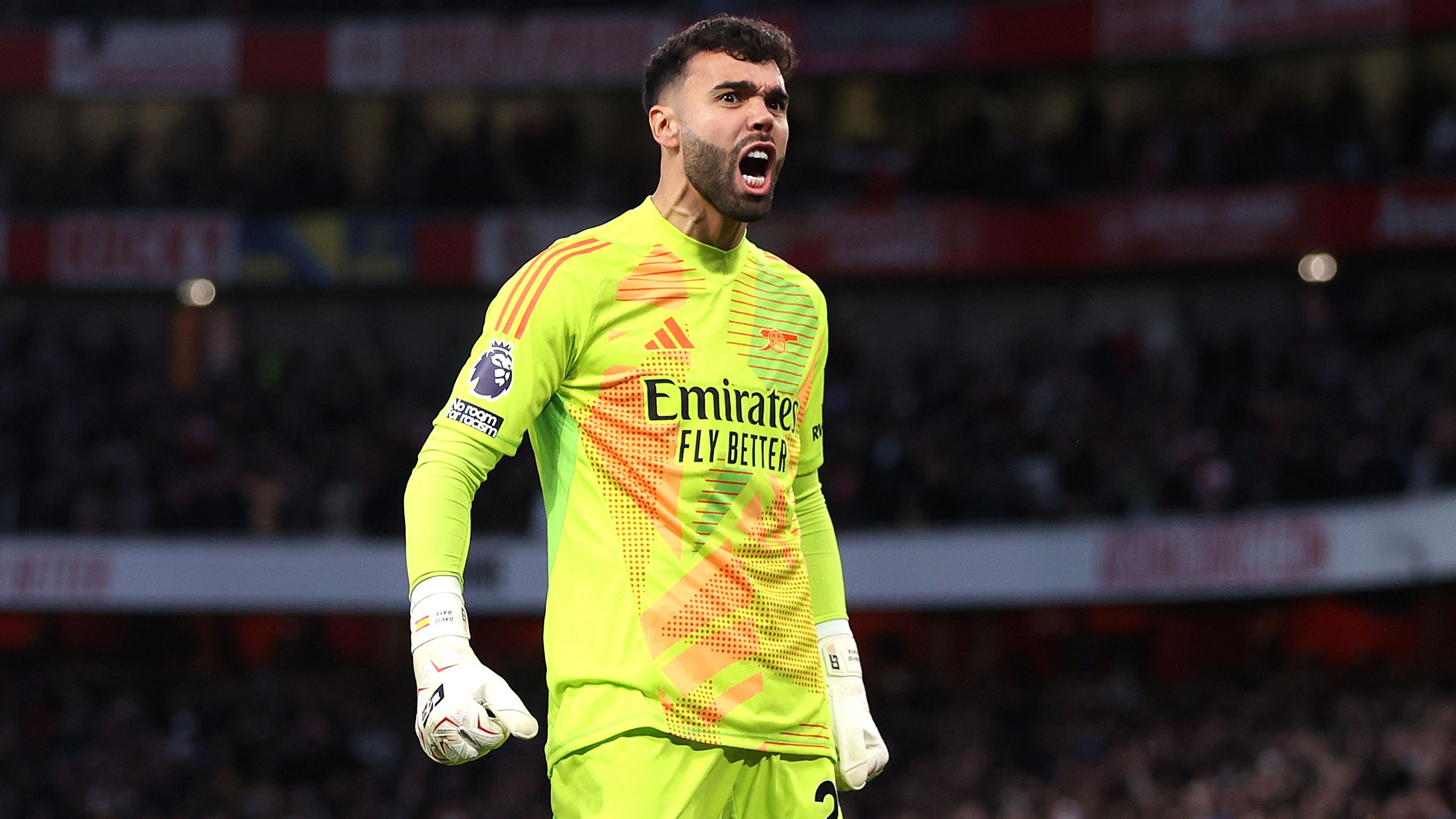 Arsenal FC v Liverpool FC - Premier League