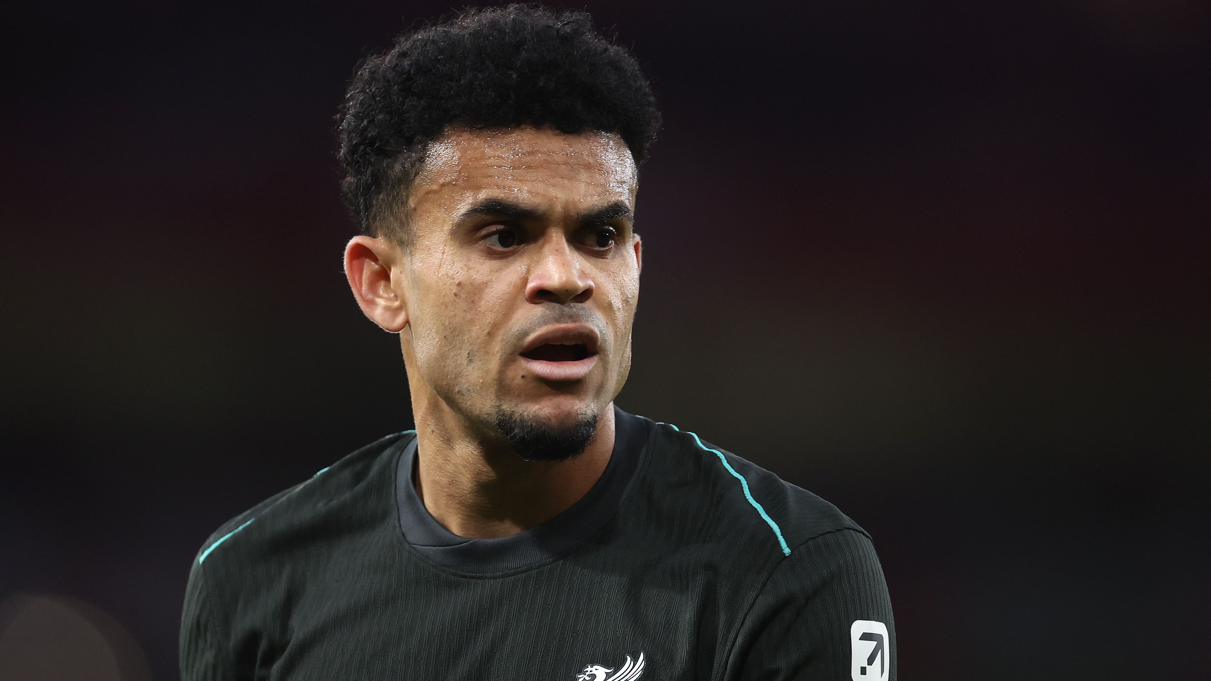 Arsenal FC v Liverpool FC - Premier League