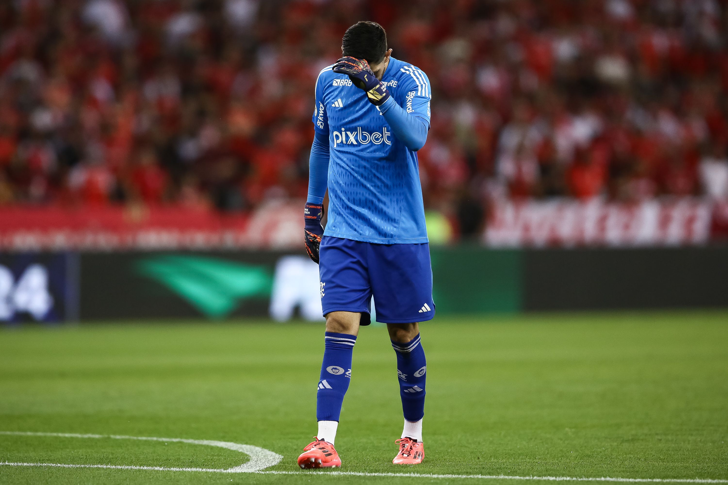 Internacional v Flamengo - Brasileirao 2024