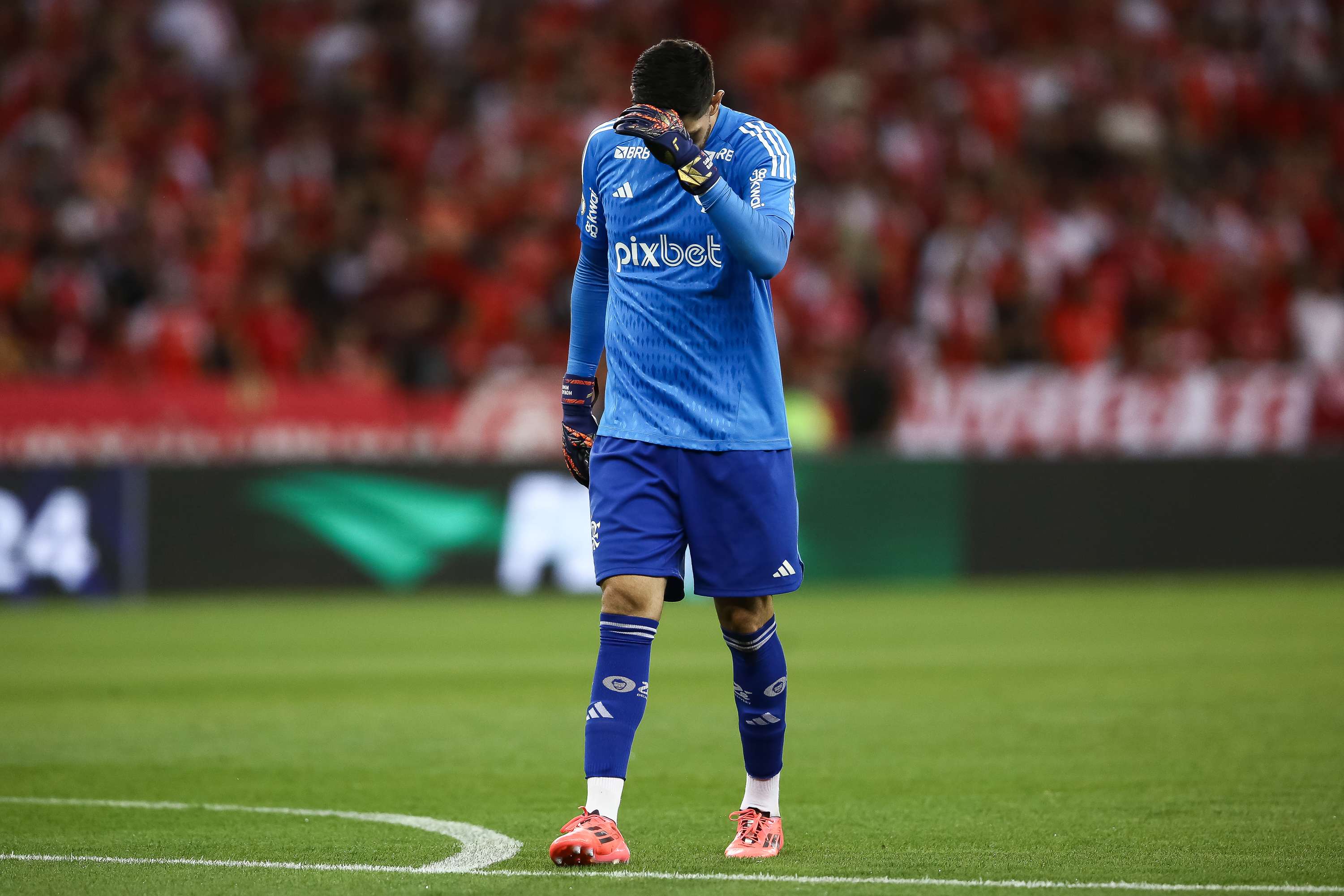 Internacional v Flamengo - Brasileirao 2024