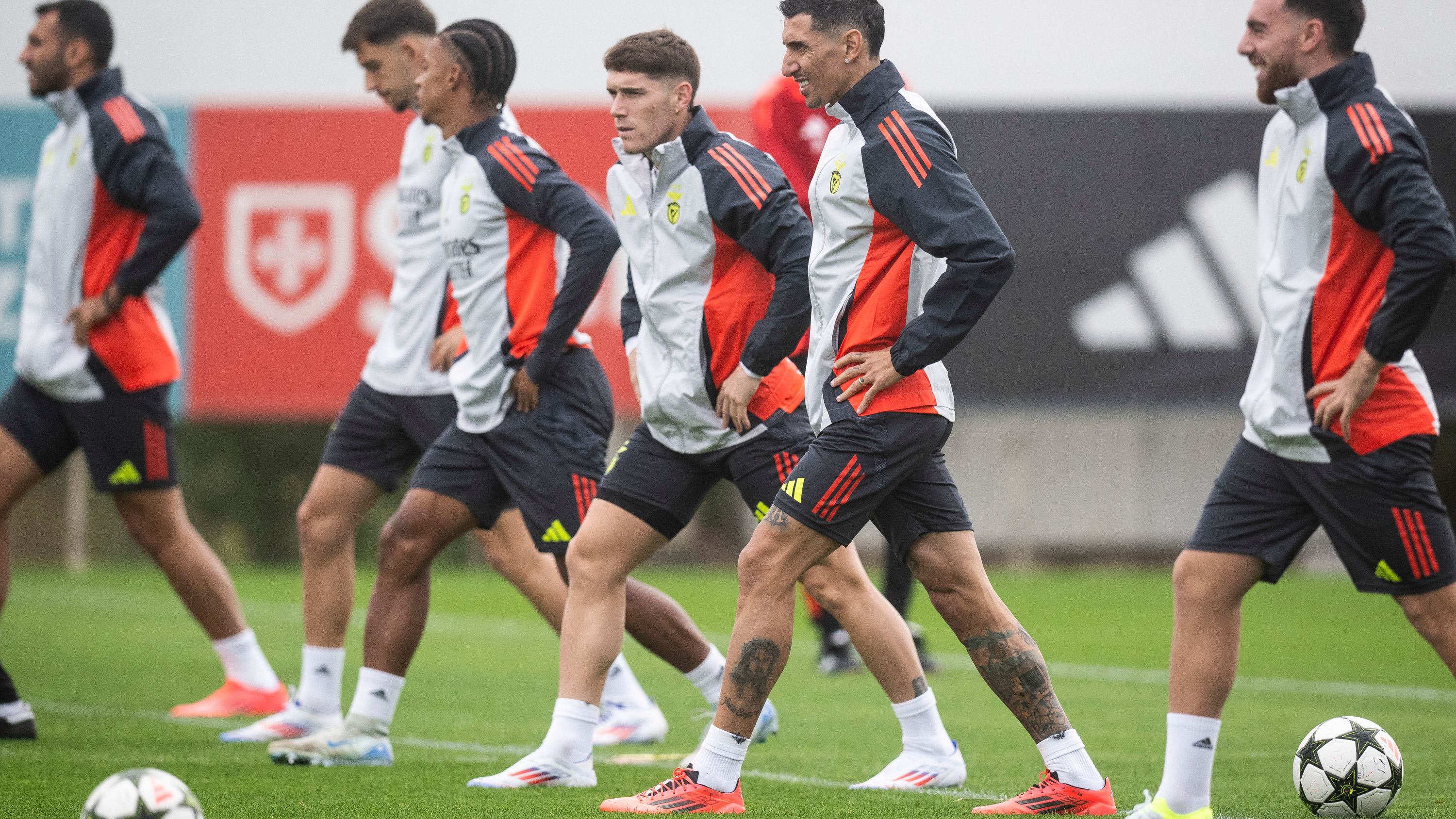 FBL-EUR-C1-BENFICA-TRAINING