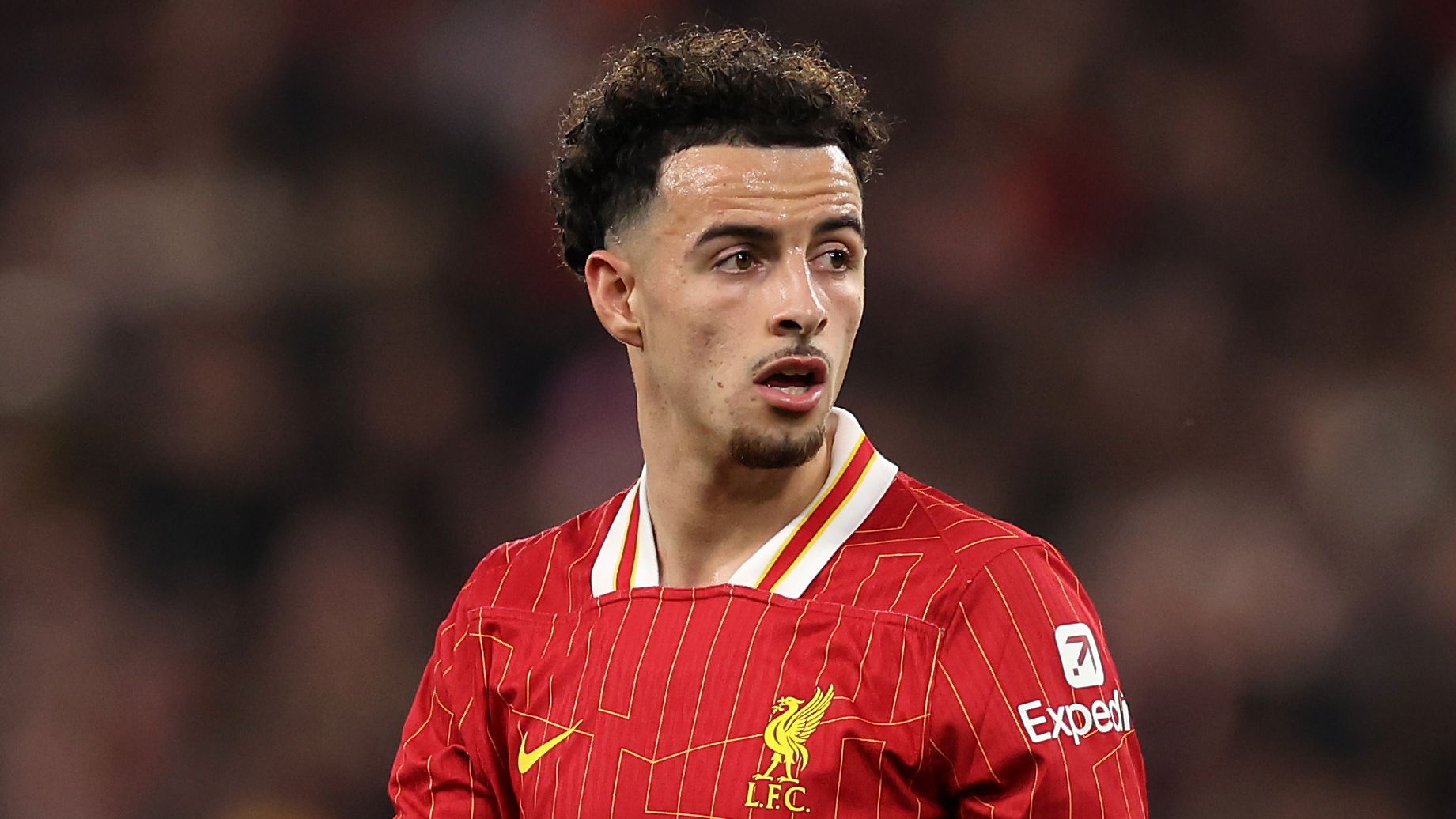 Liverpool FC v Brighton & Hove Albion FC - Premier League