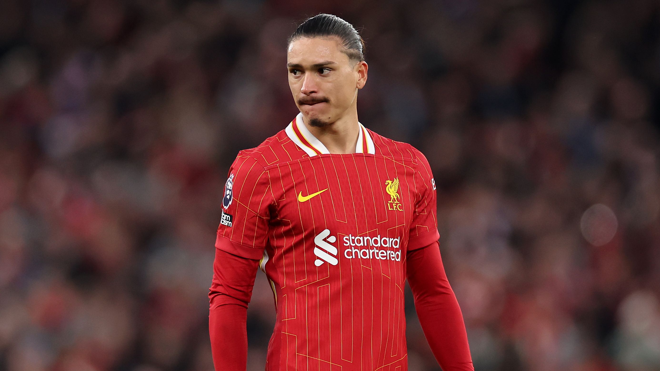 Liverpool FC v Brighton & Hove Albion FC - Premier League