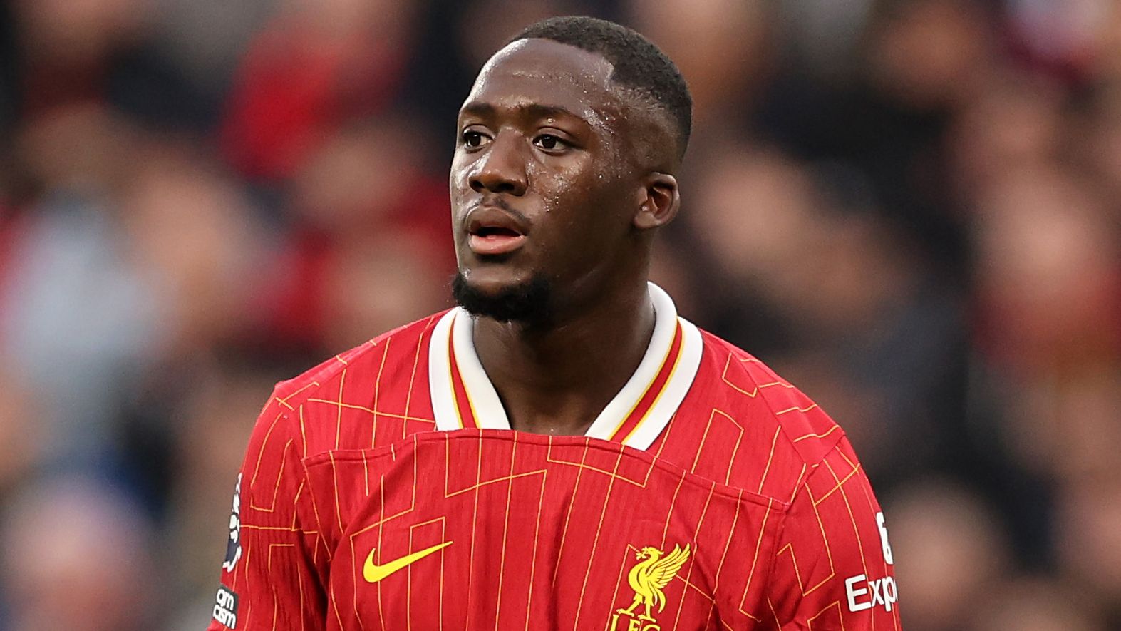 Liverpool FC v Brighton & Hove Albion FC - Premier League