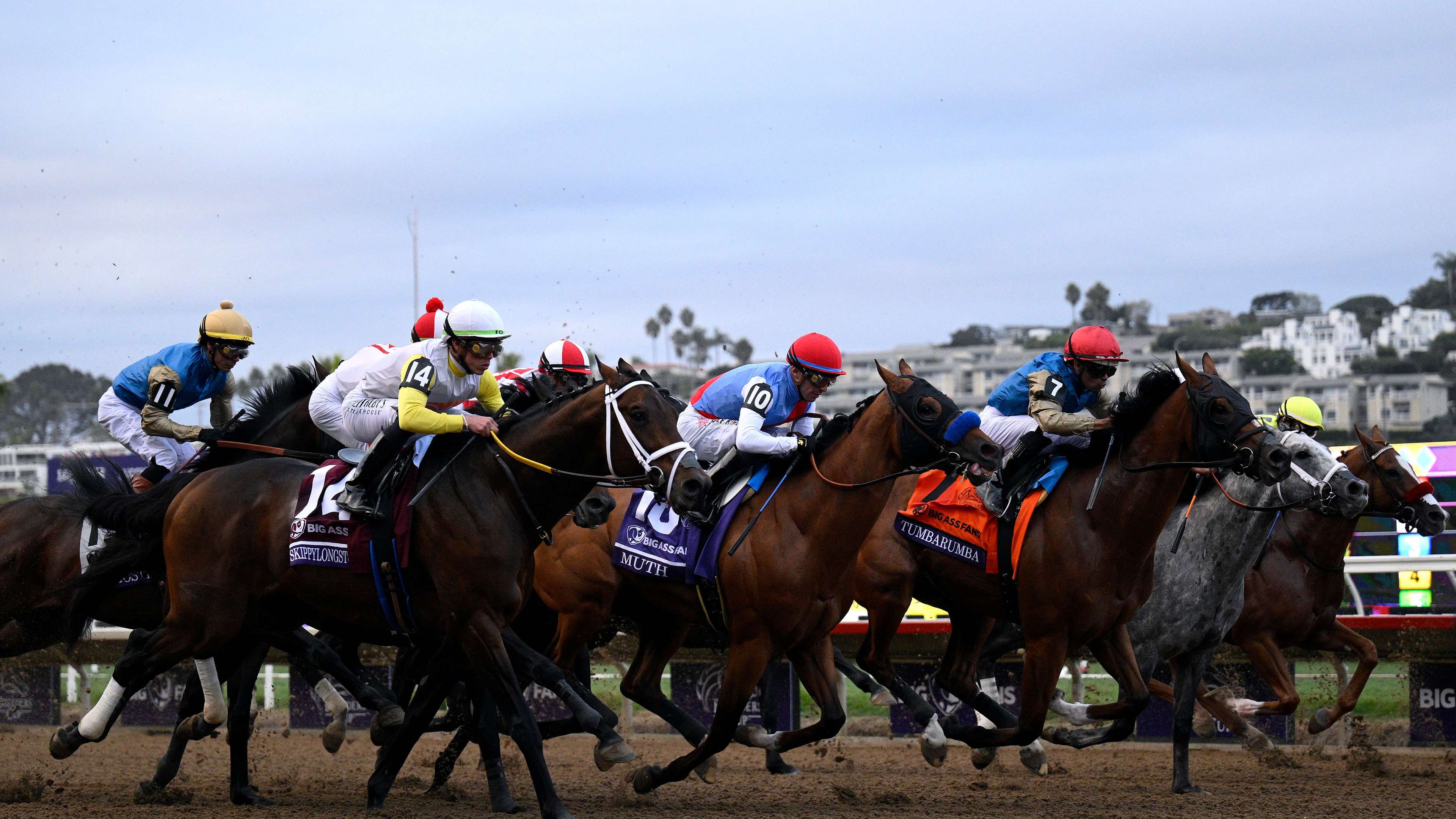 2024 Breeders' Cup World Championships